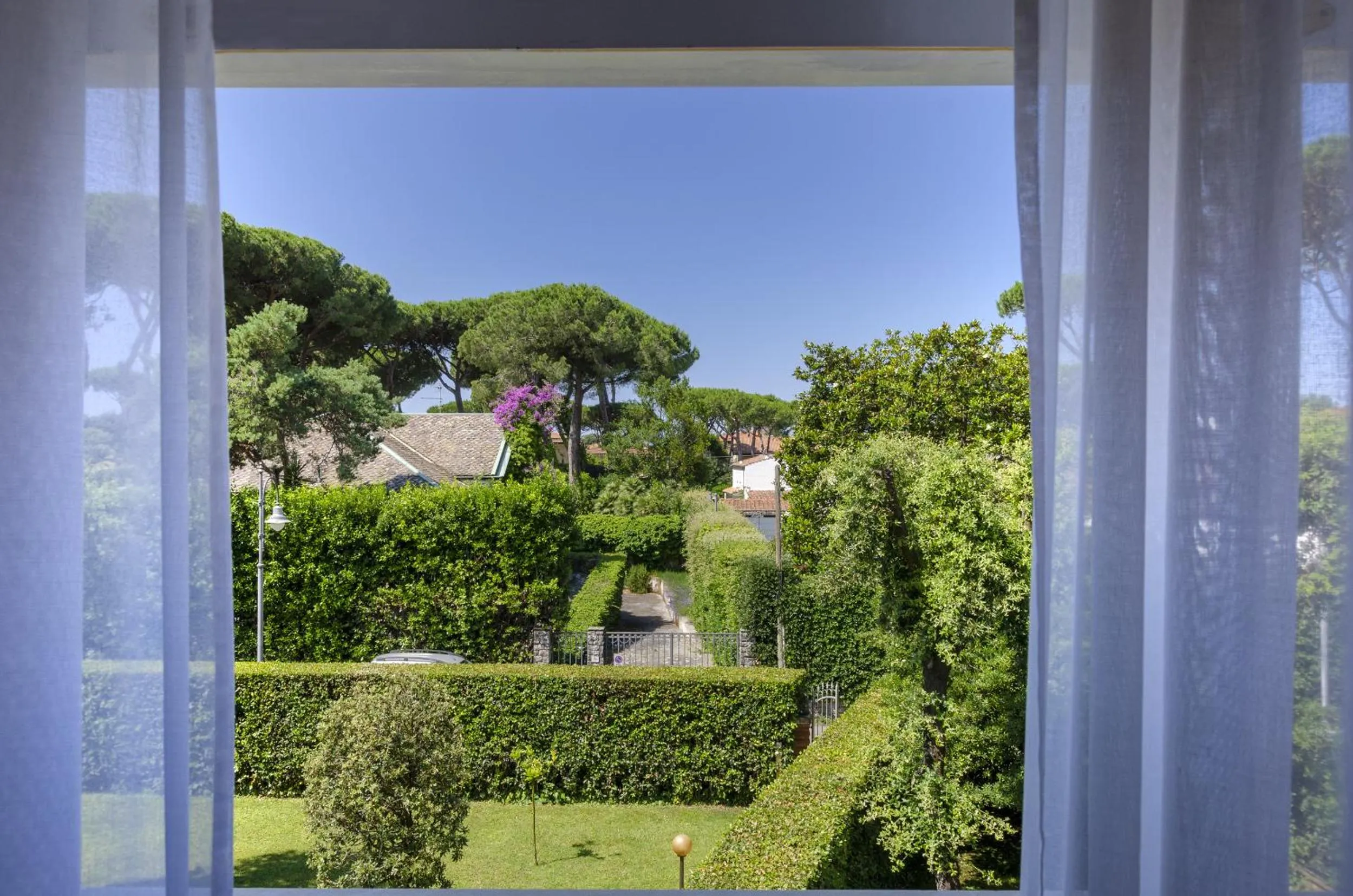 Garden view in Hotel Villa Edera