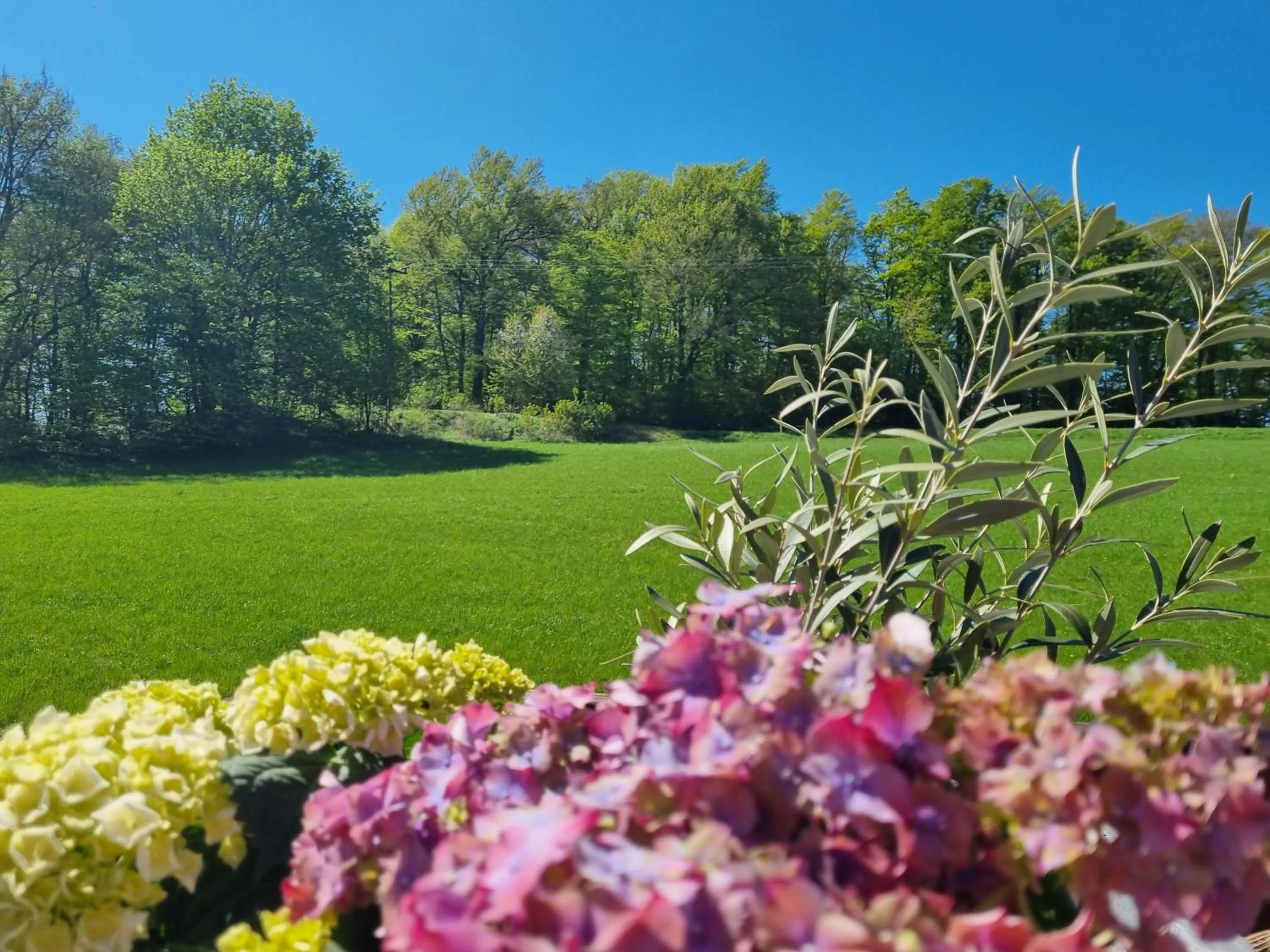 Landhaus Talblick- Frühstückspension