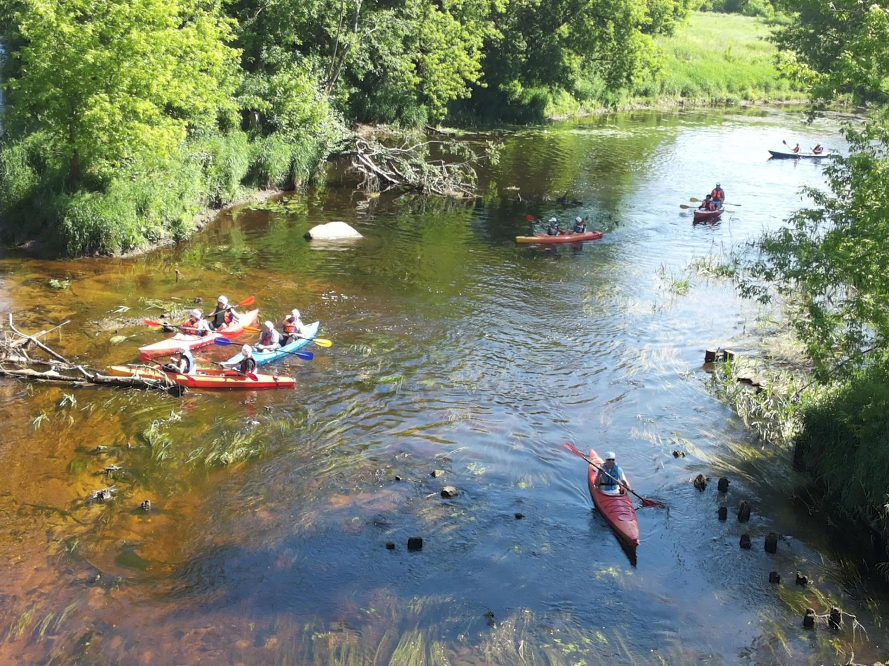 Natural landscape in Hotel Green Smiltynė