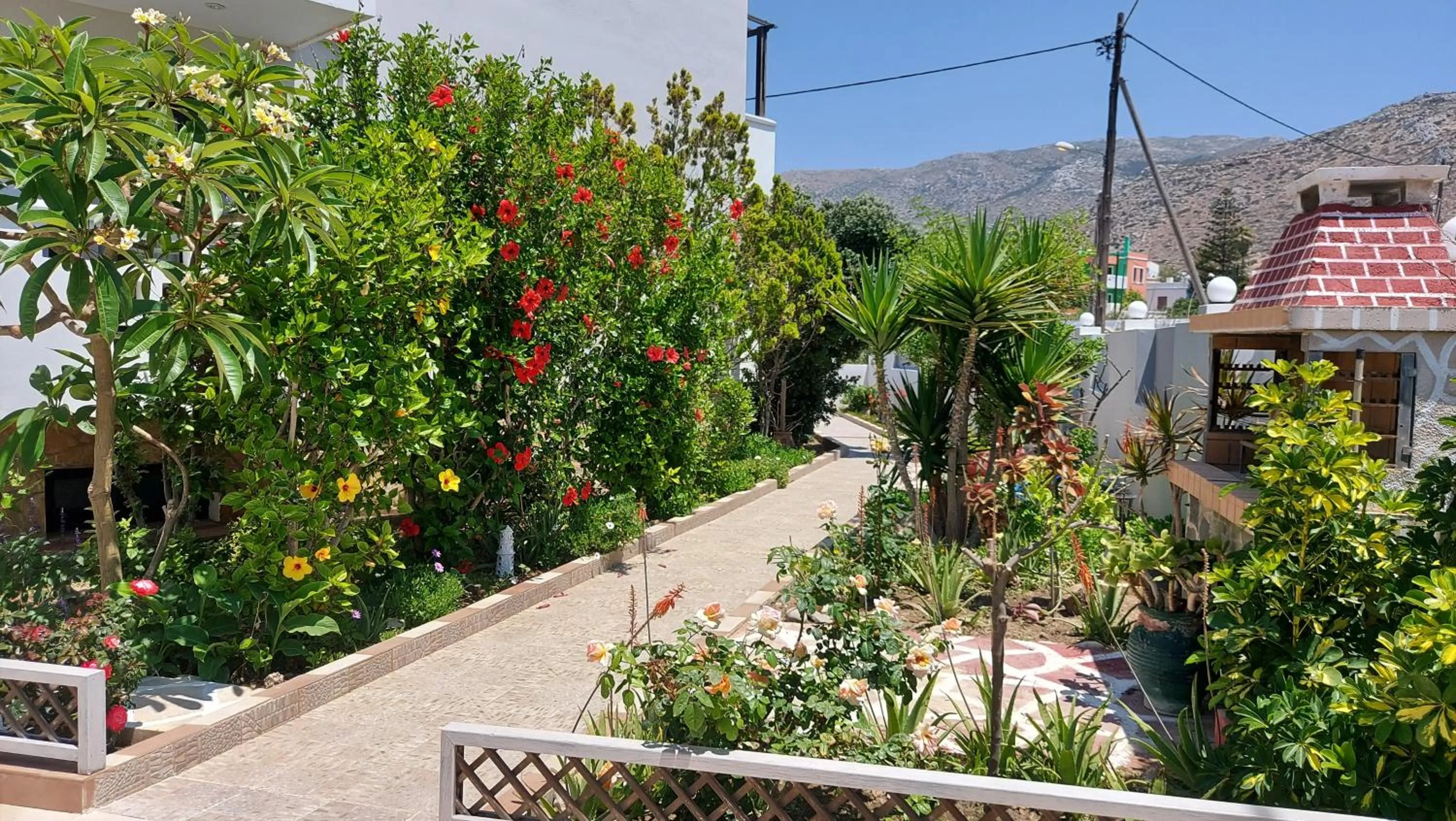 Garden view in Arkasa Bay Hotel