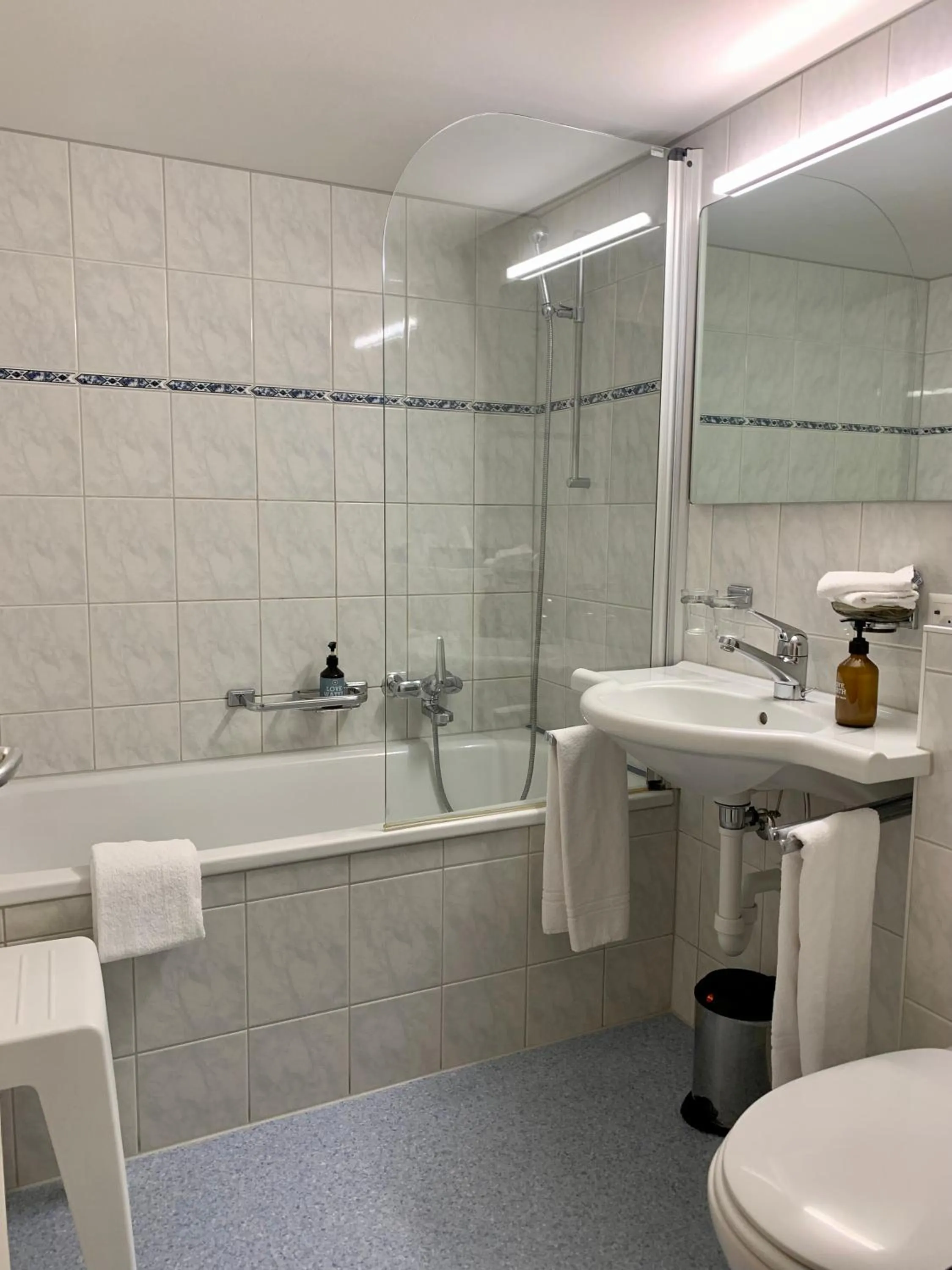 Hotel Friedheim Weggis