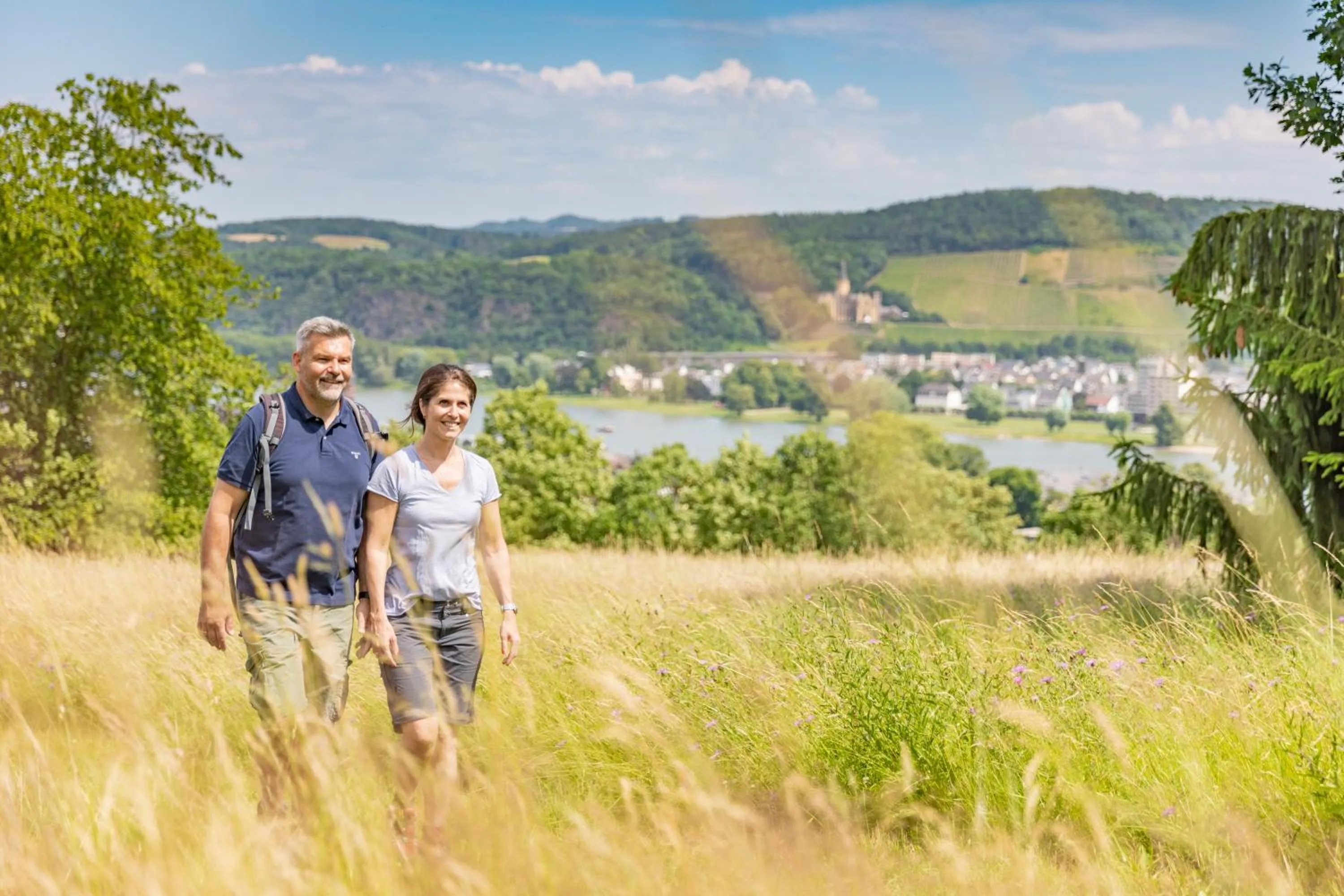 Natural landscape in Hotel Rhein-Residenz