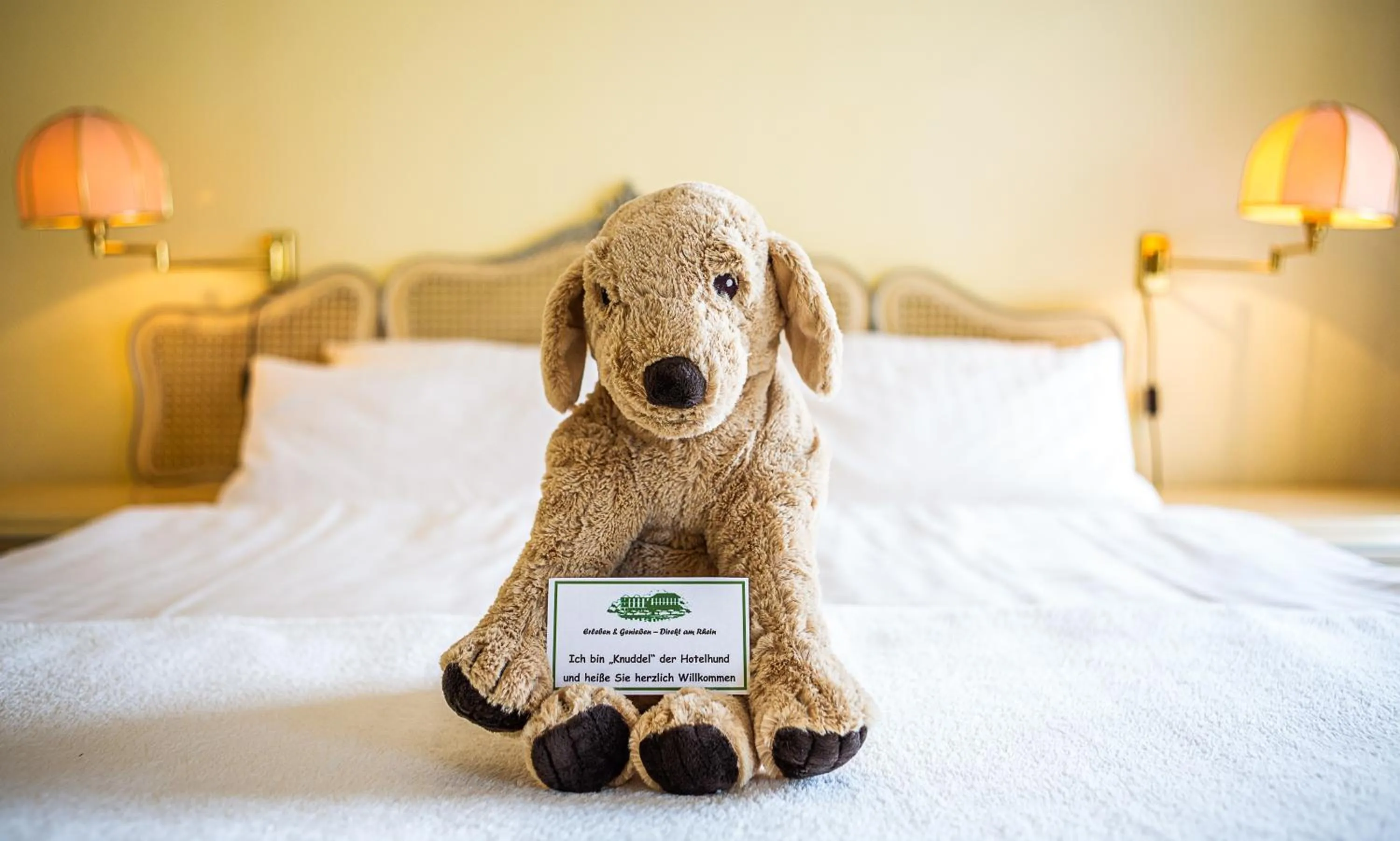 Bed in Hotel Rhein-Residenz