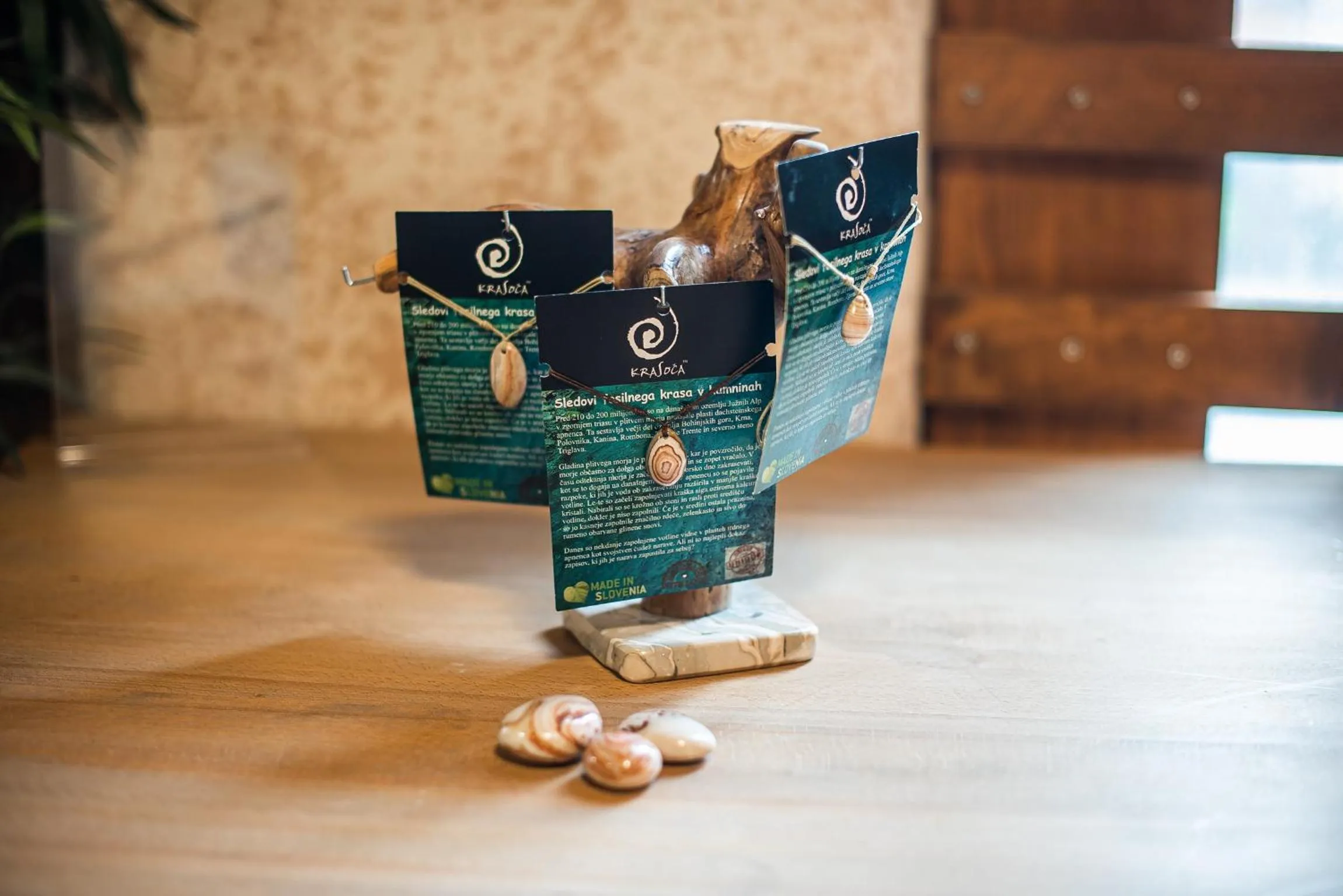 Logo/Certificate/Sign in Hostel Paradiso