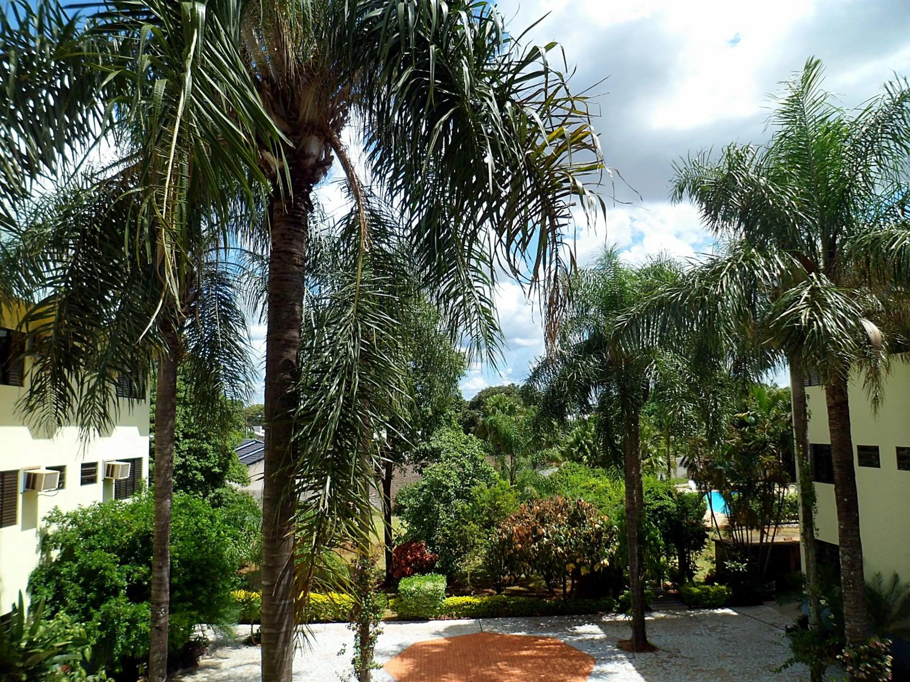 Garden in Praia Sol Hotel