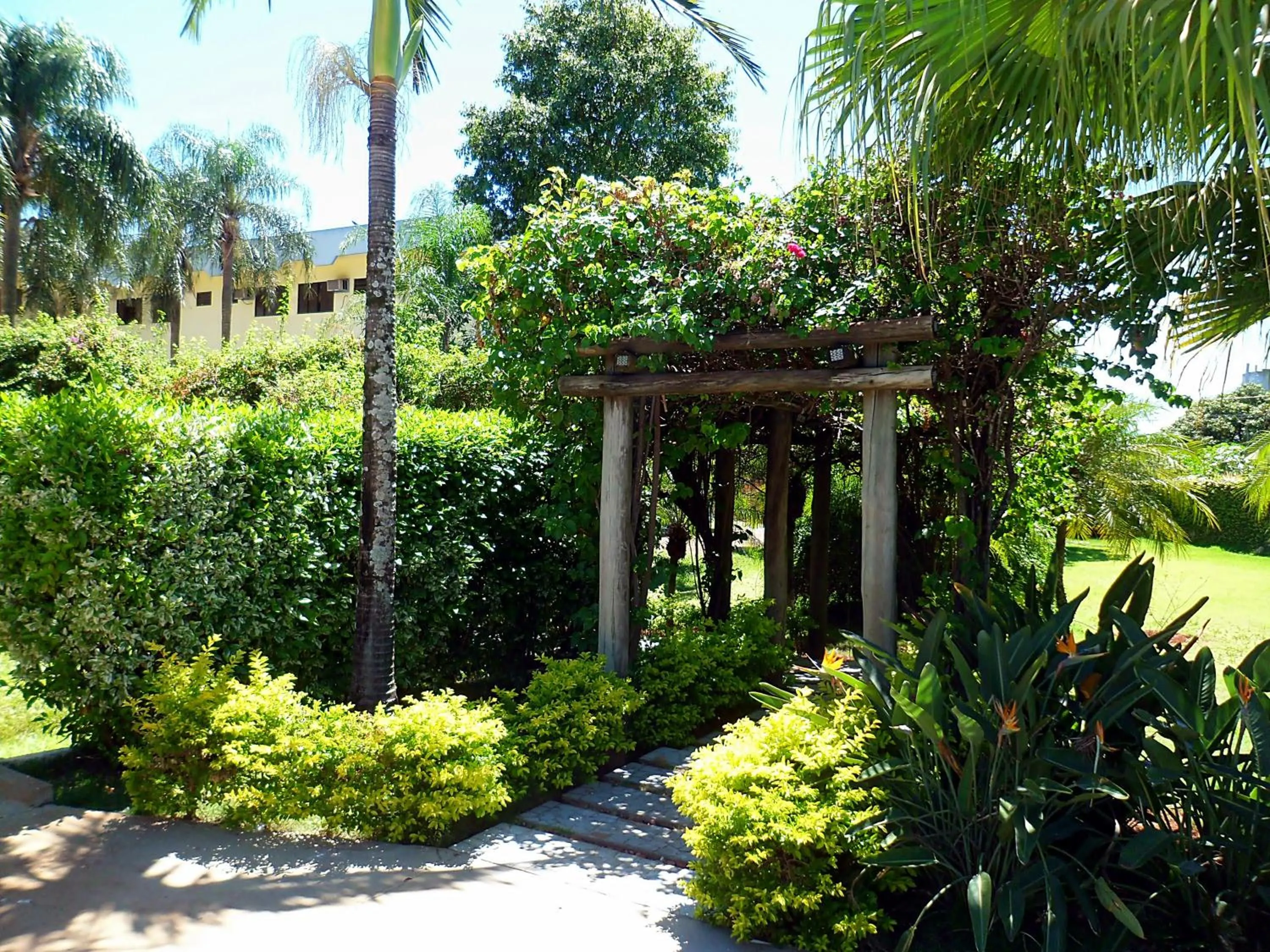 Garden in Praia Sol Hotel