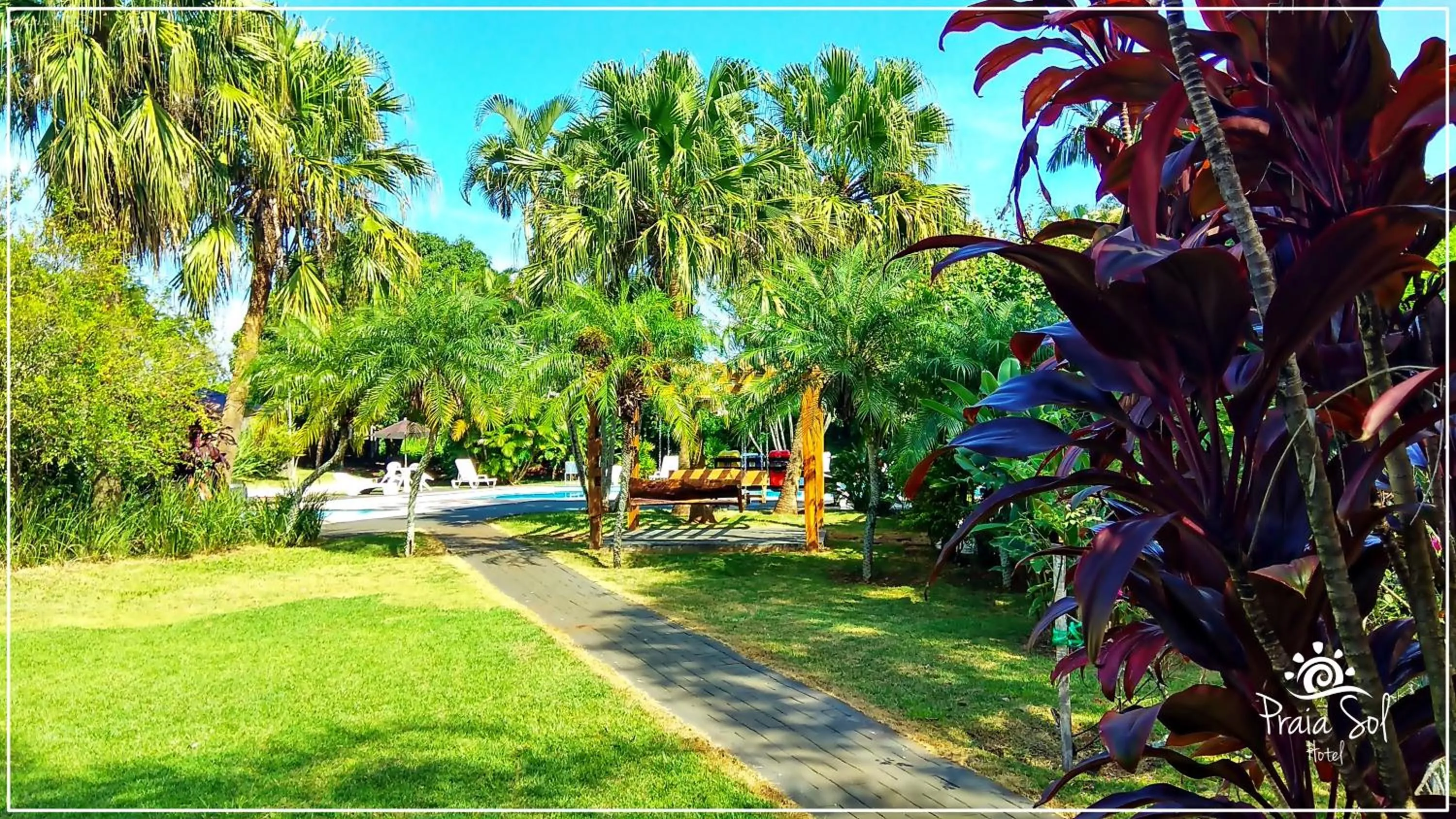 Garden in Praia Sol Hotel