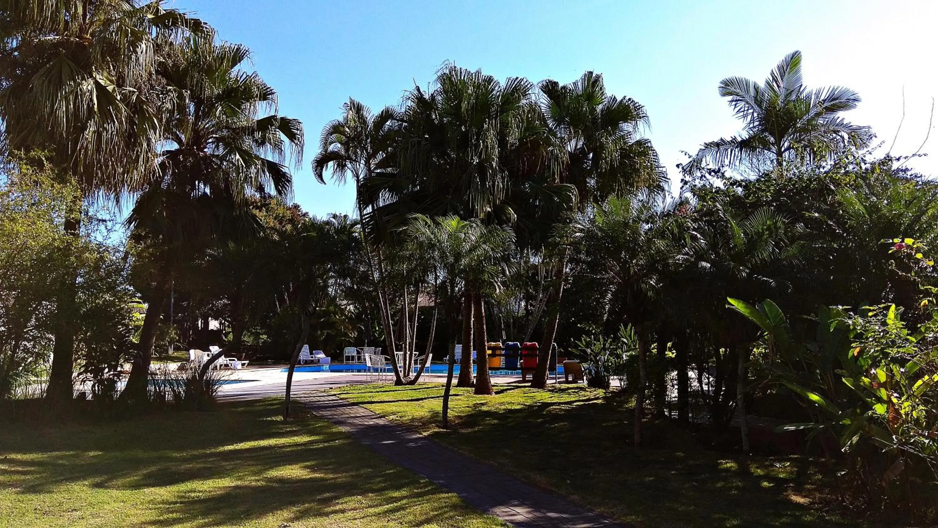 Garden in Praia Sol Hotel