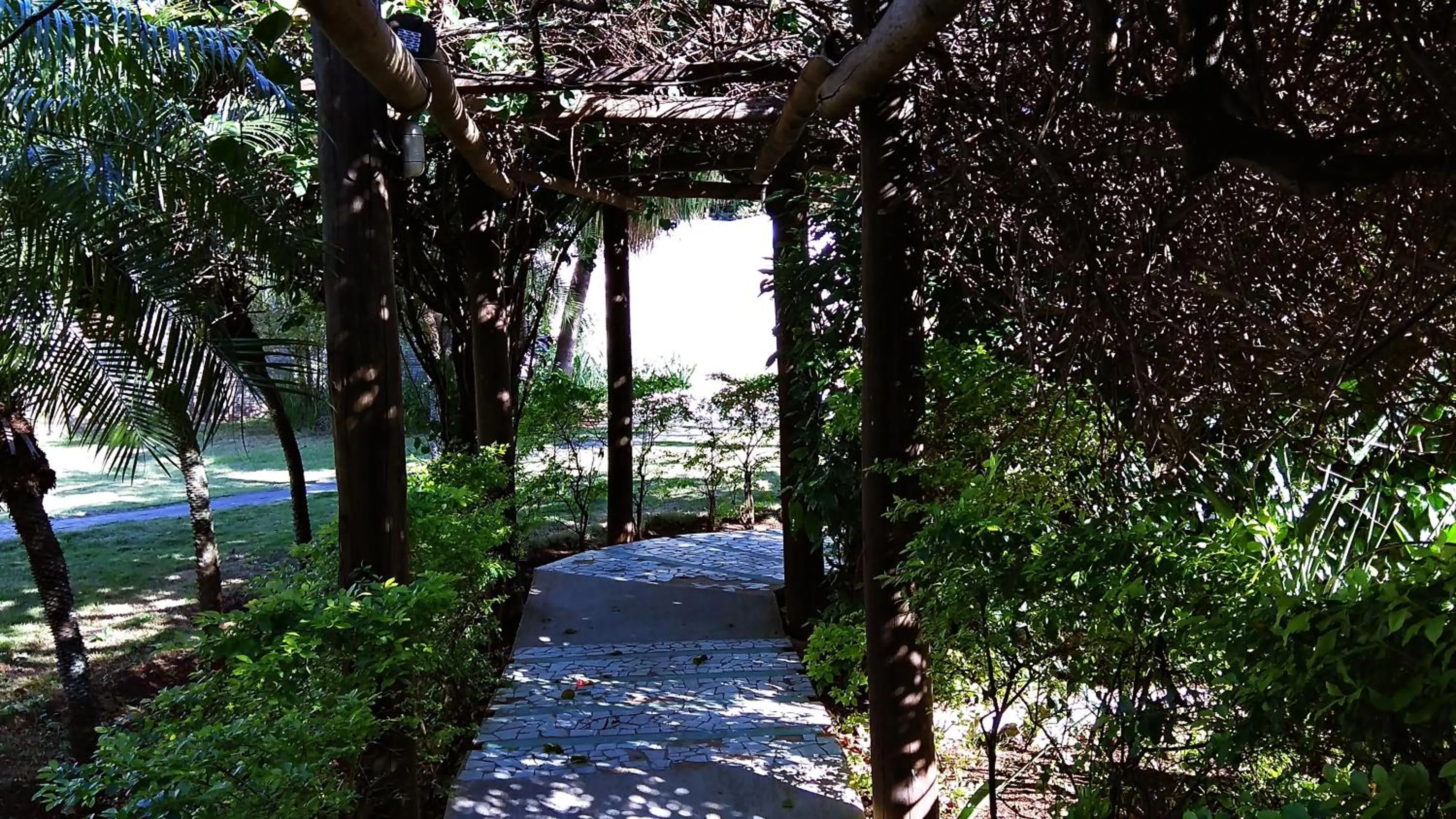 Natural landscape in Praia Sol Hotel