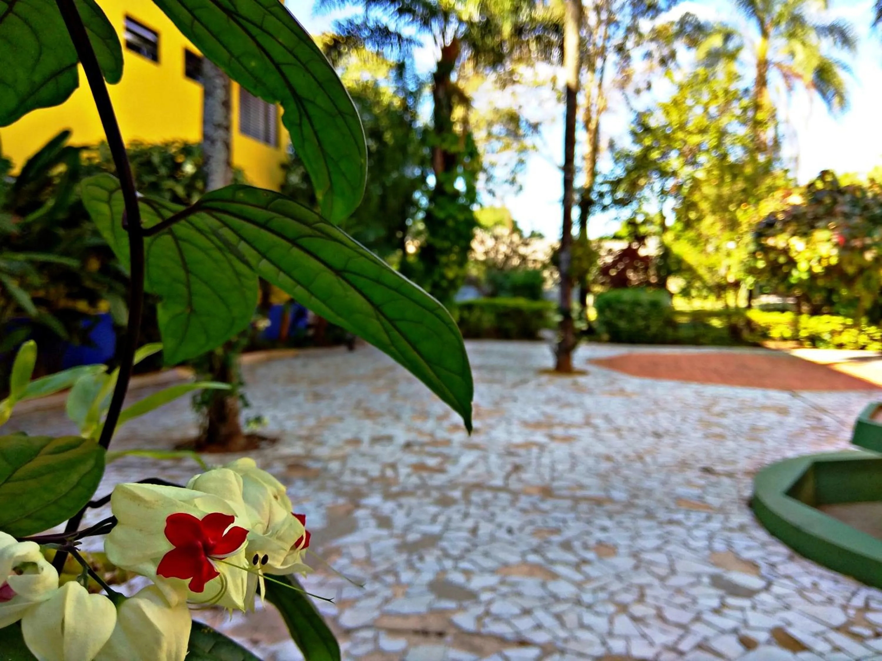 Patio in Praia Sol Hotel