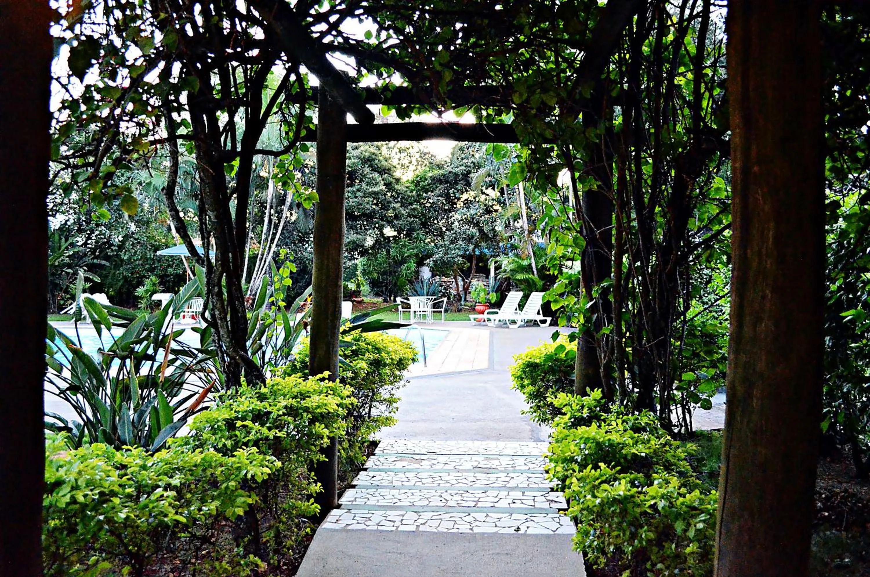 Garden in Praia Sol Hotel