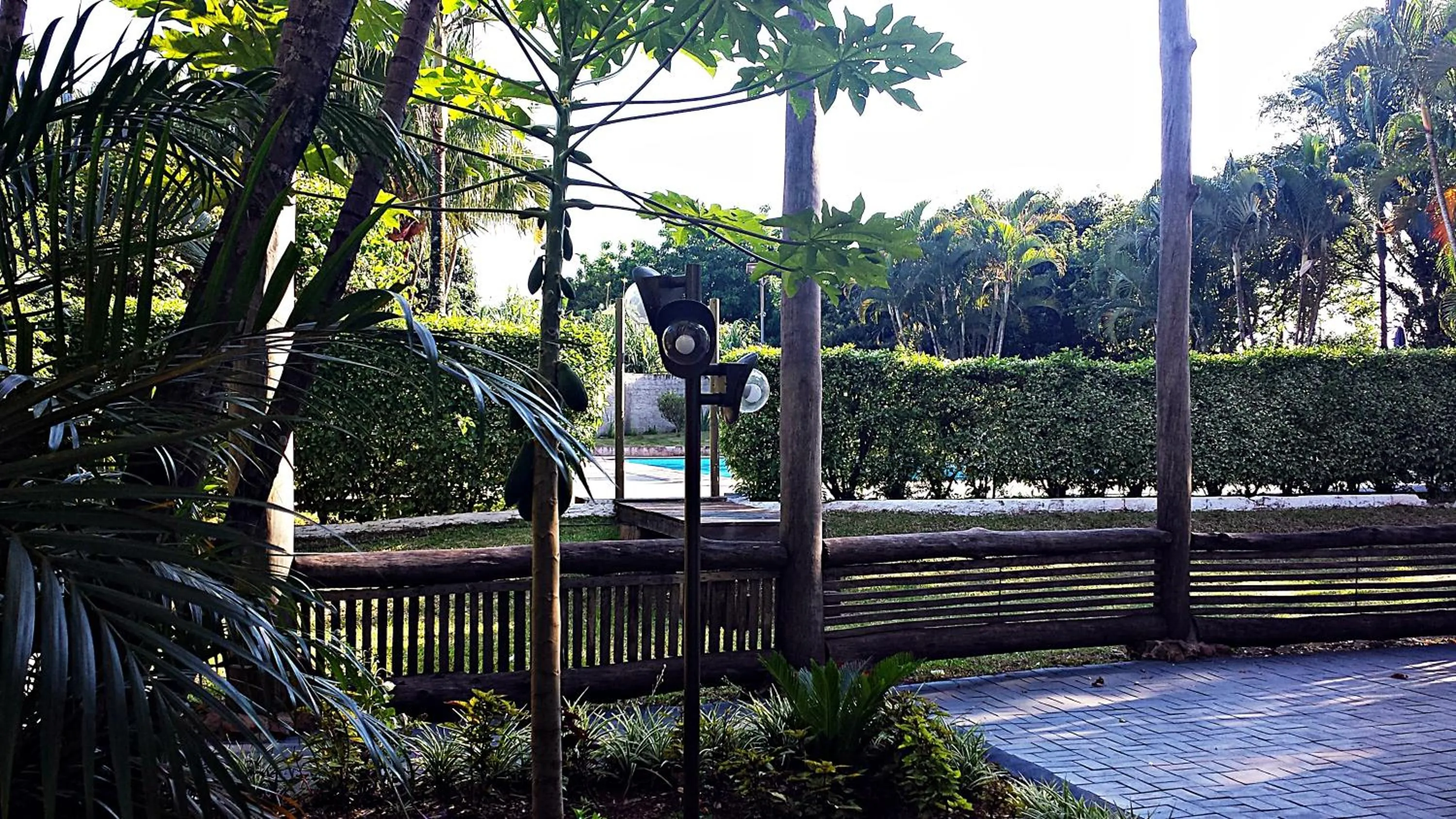 Garden view in Praia Sol Hotel