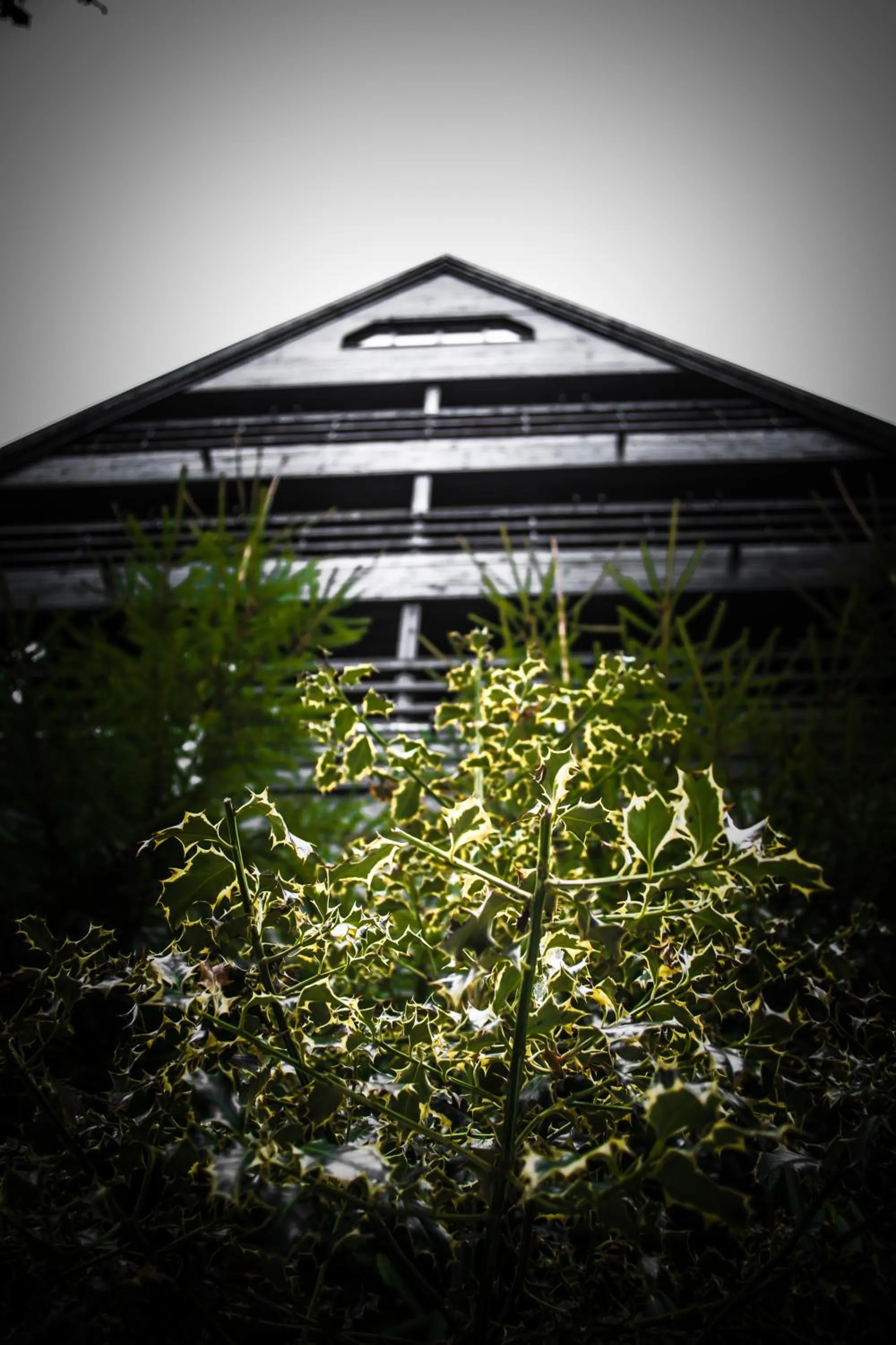 Property building in Hotel Smart