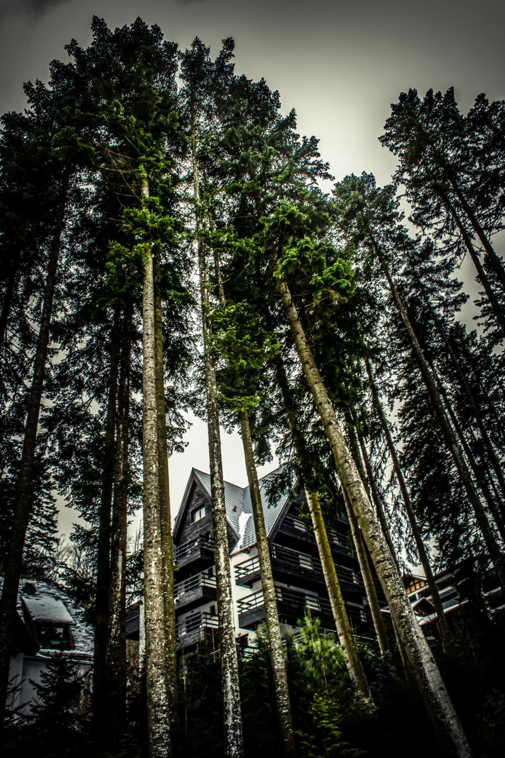 Property building in Hotel Smart