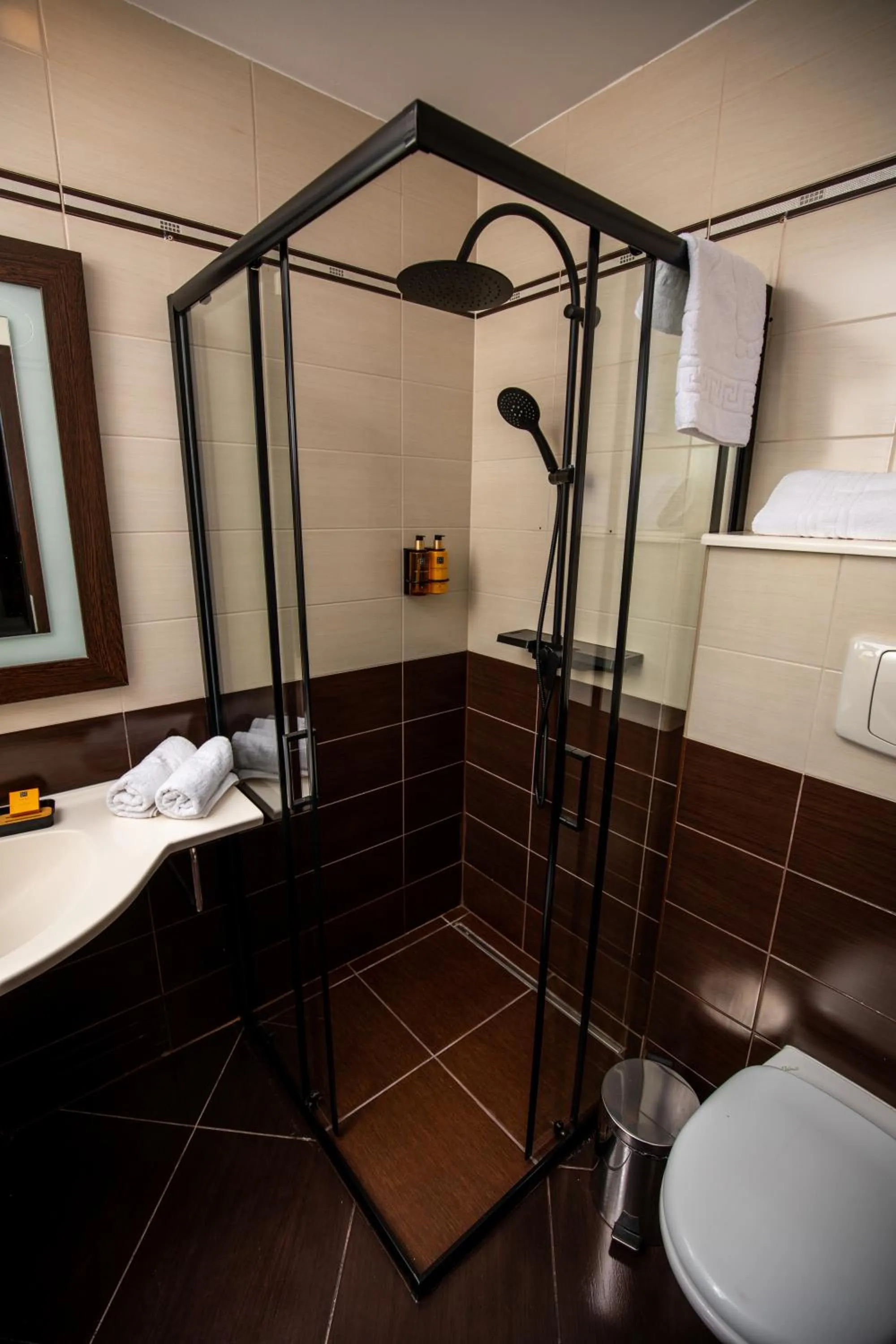 Shower in Hotel Smart