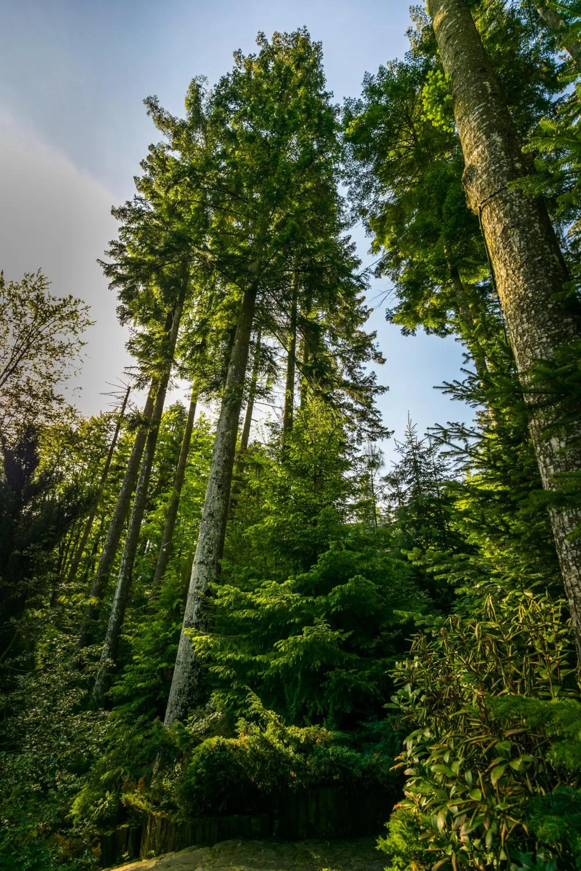 Natural landscape in Hotel Smart
