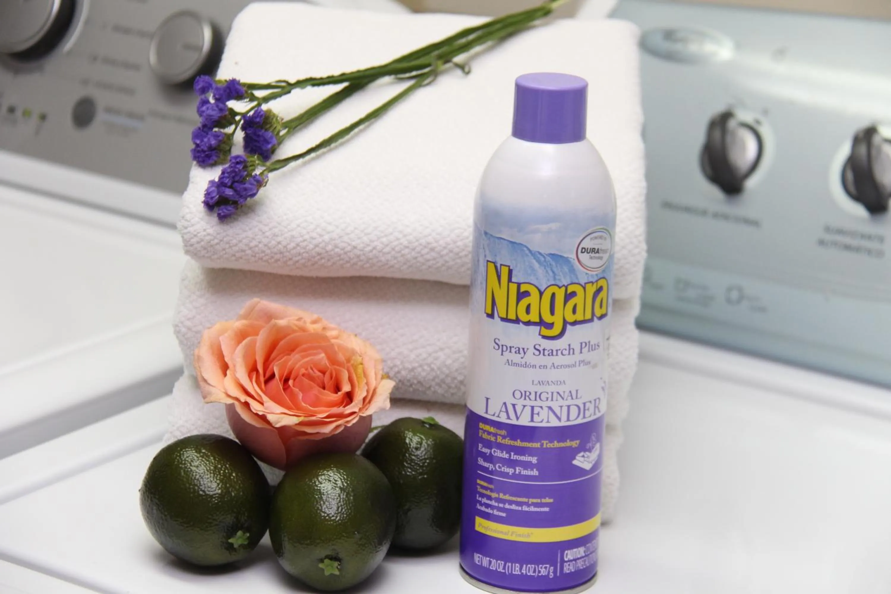 Area and facilities in Hotel Boutique Vieja Cuba