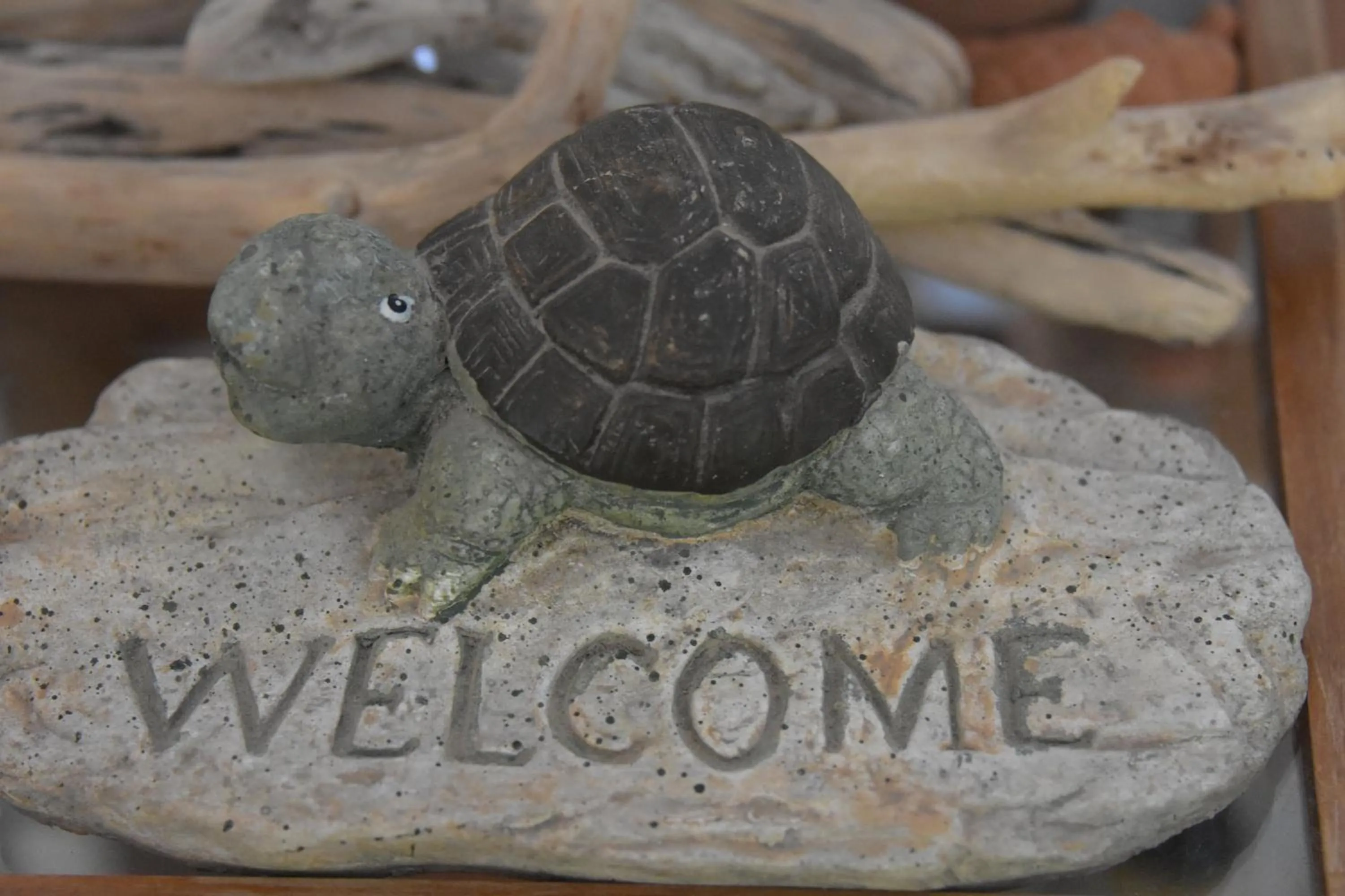 Decorative detail in Virginia Hotel