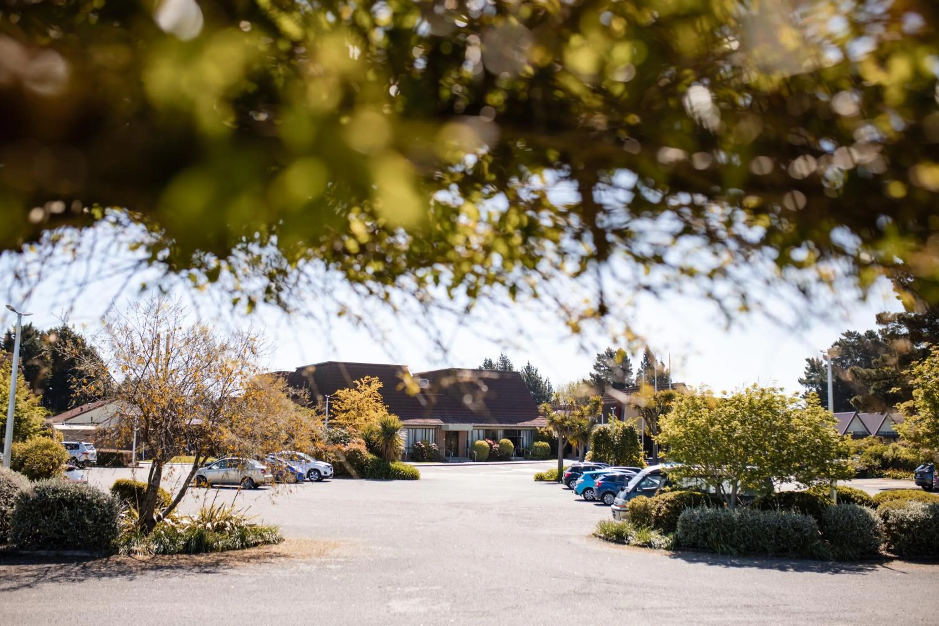 Natural landscape in Ascot Park Hotel