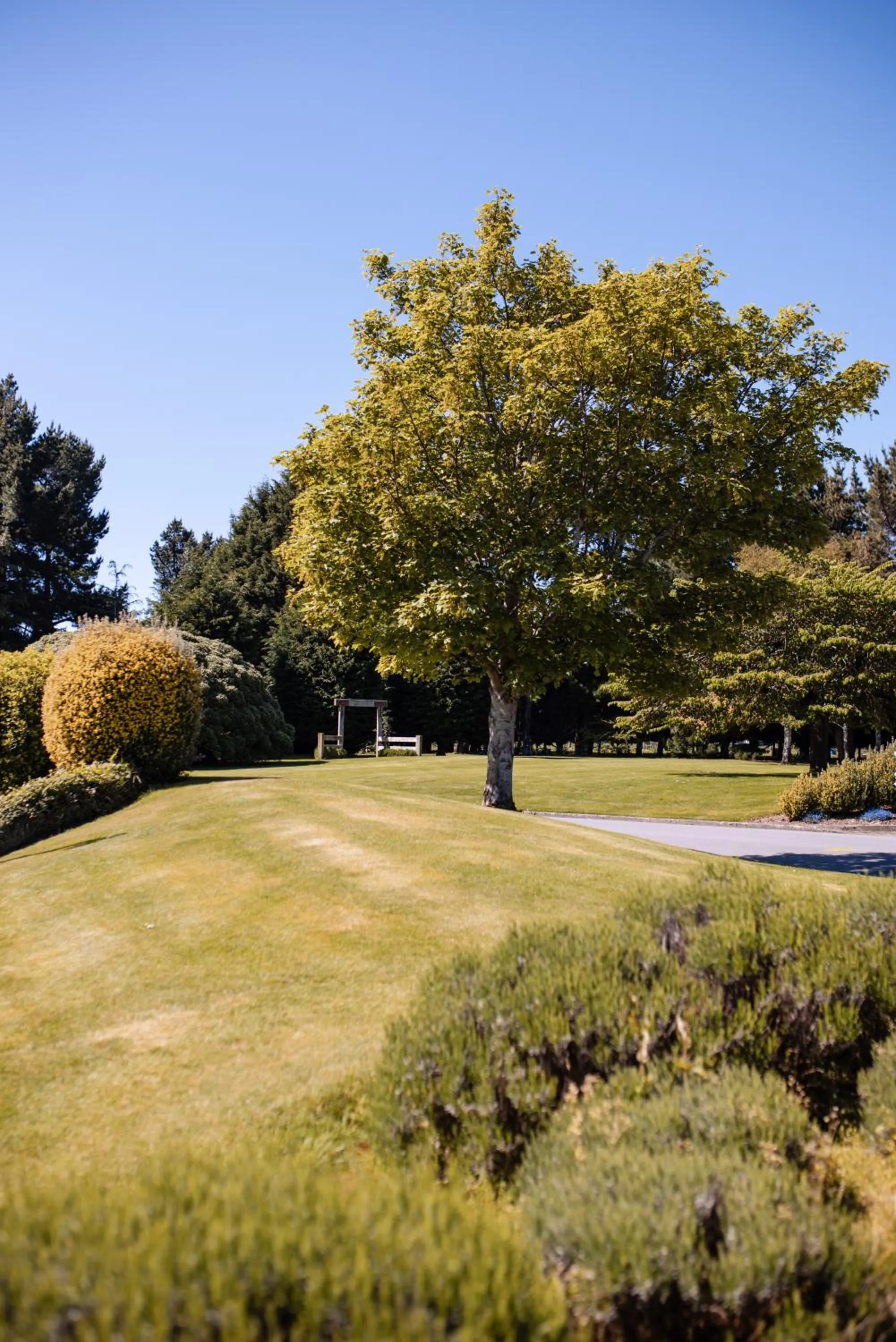 Natural landscape in Ascot Park Hotel