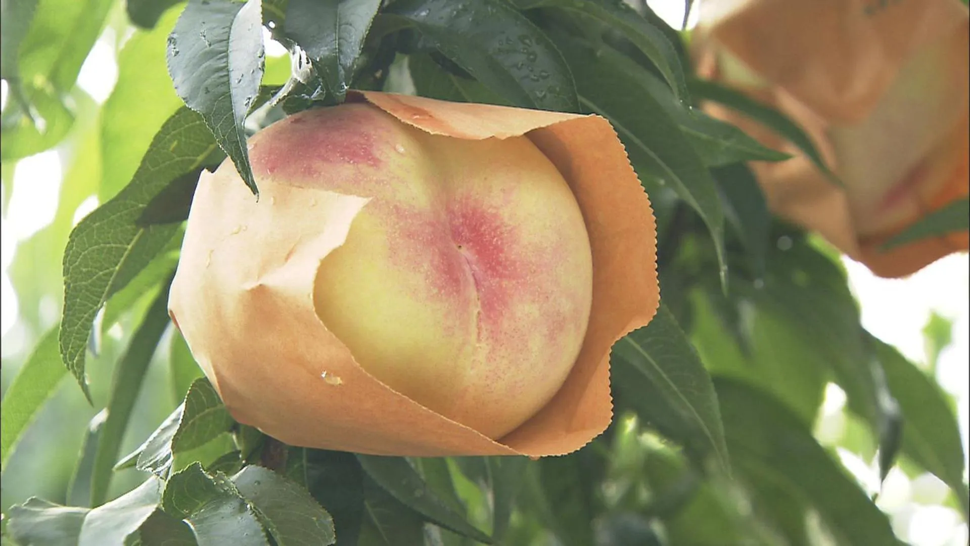 Other in Dormy Inn Kurashiki Natural Hot Spring