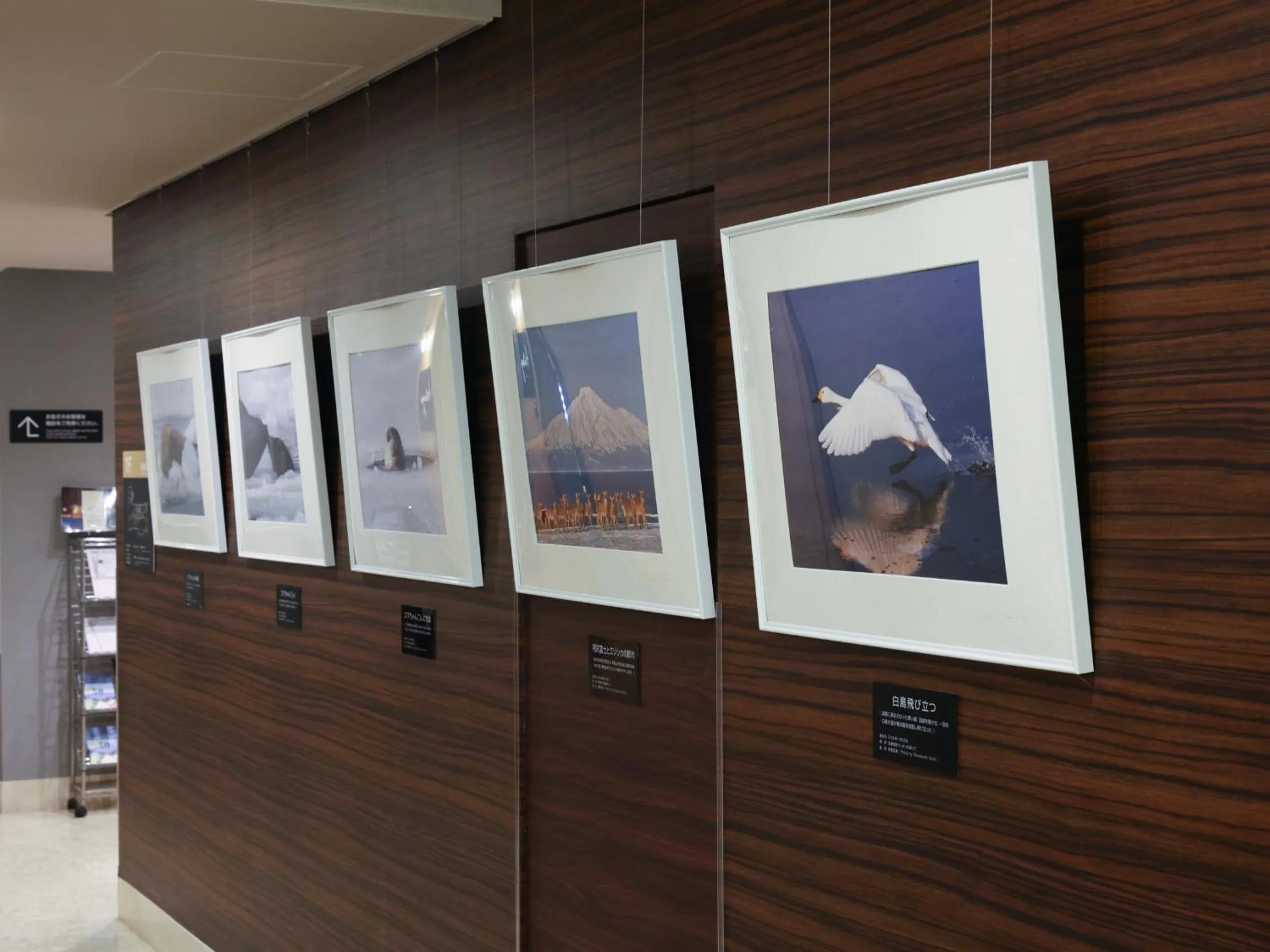 Decorative detail in Dormy Inn Wakkanai