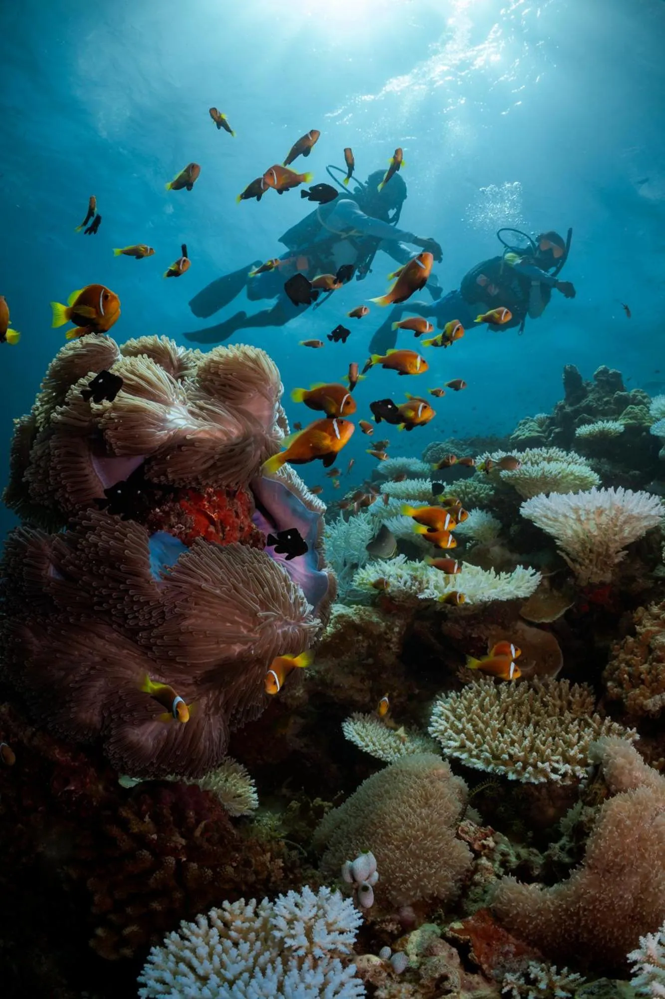 Activities in Six Senses Laamu