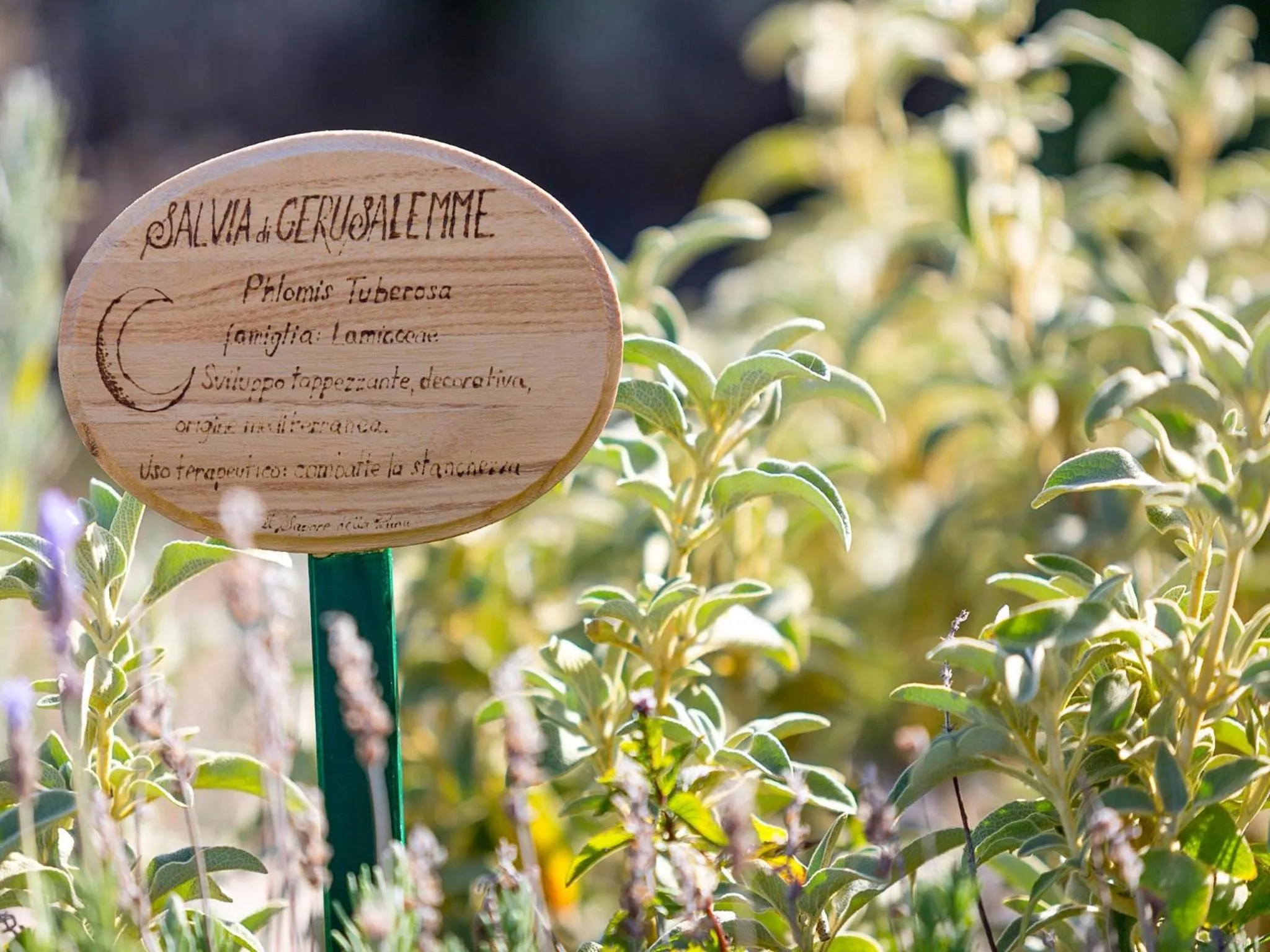 Property logo or sign in Agriturismo Il Sapore Della Luna