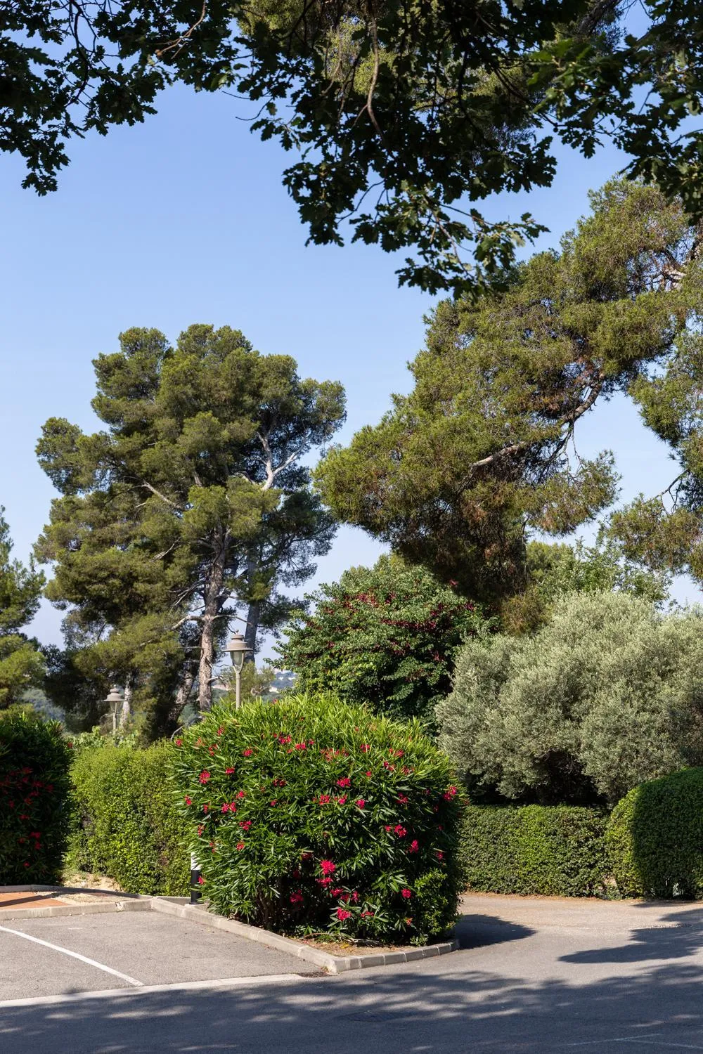 Natural landscape in The Originals City, Hôtel Côté Sud, Marseille Est