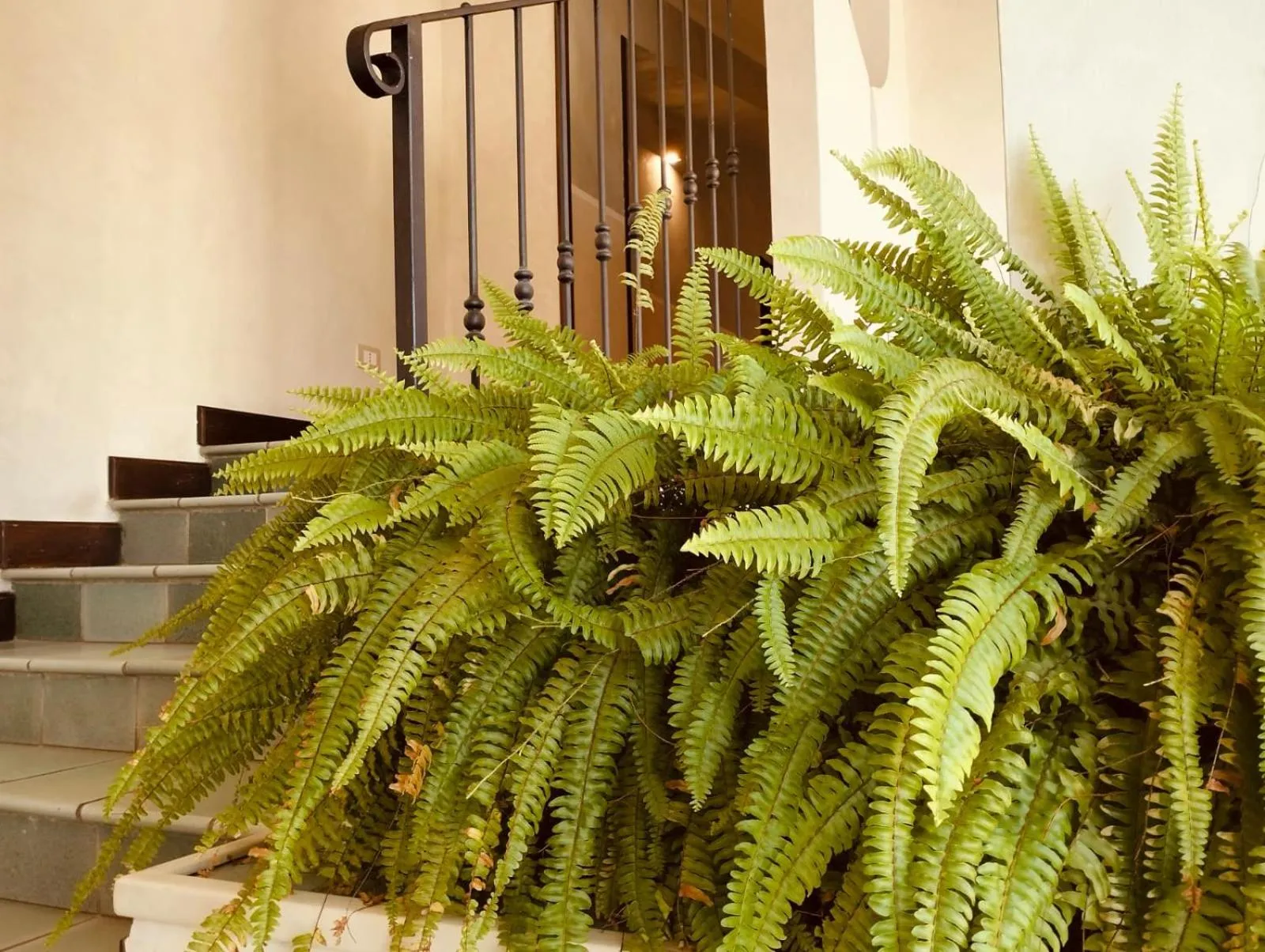 Hotel Foresteria Baglio Della Luna