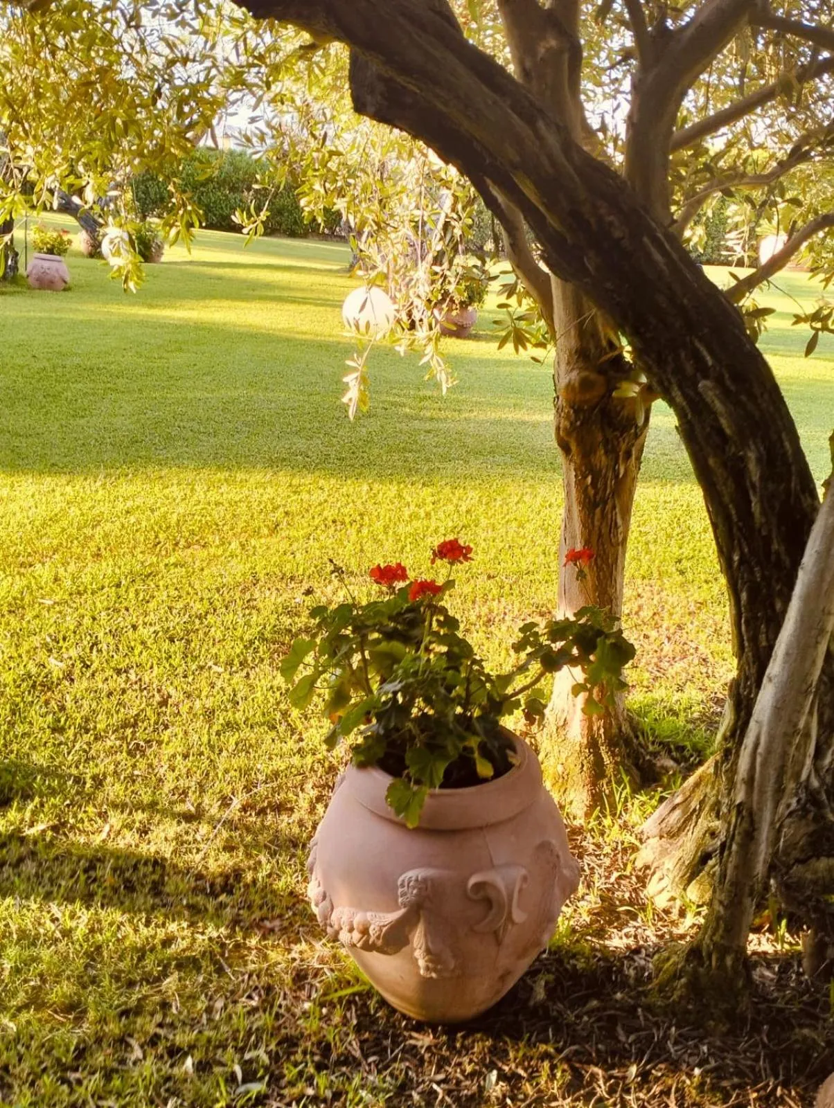 Hotel Foresteria Baglio Della Luna