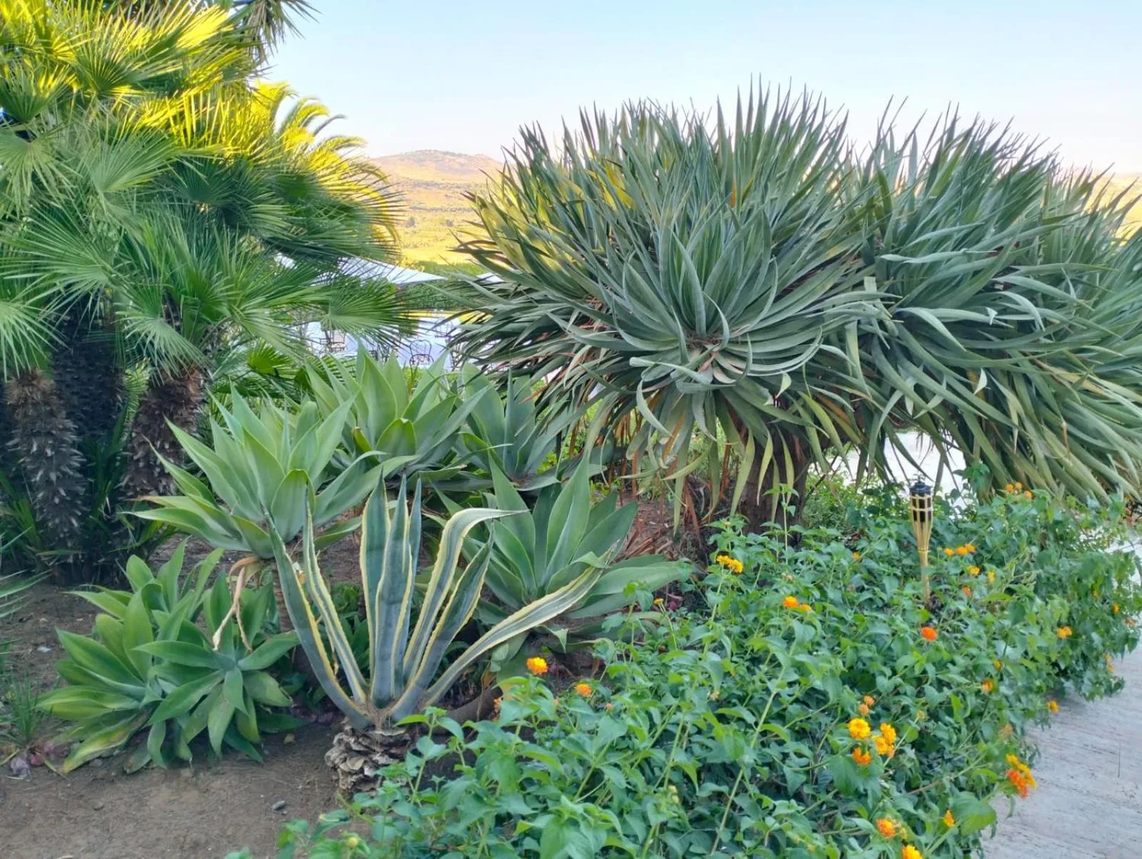 Hotel Foresteria Baglio Della Luna