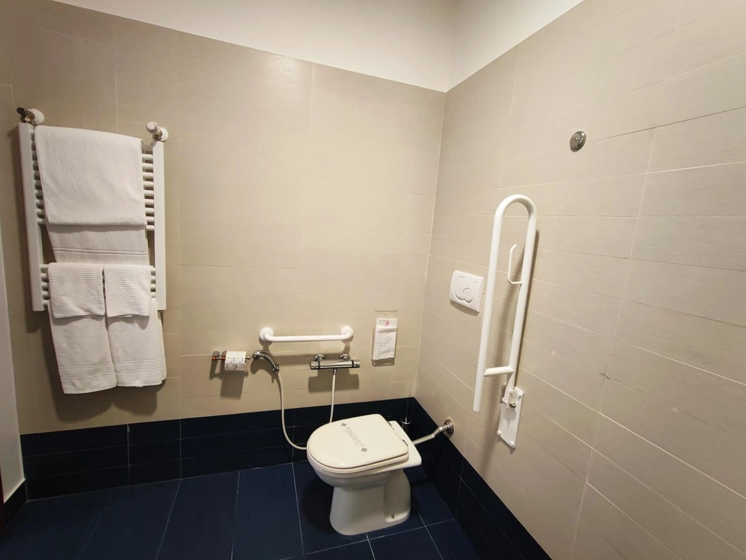 Toilet in Hotel Miramare