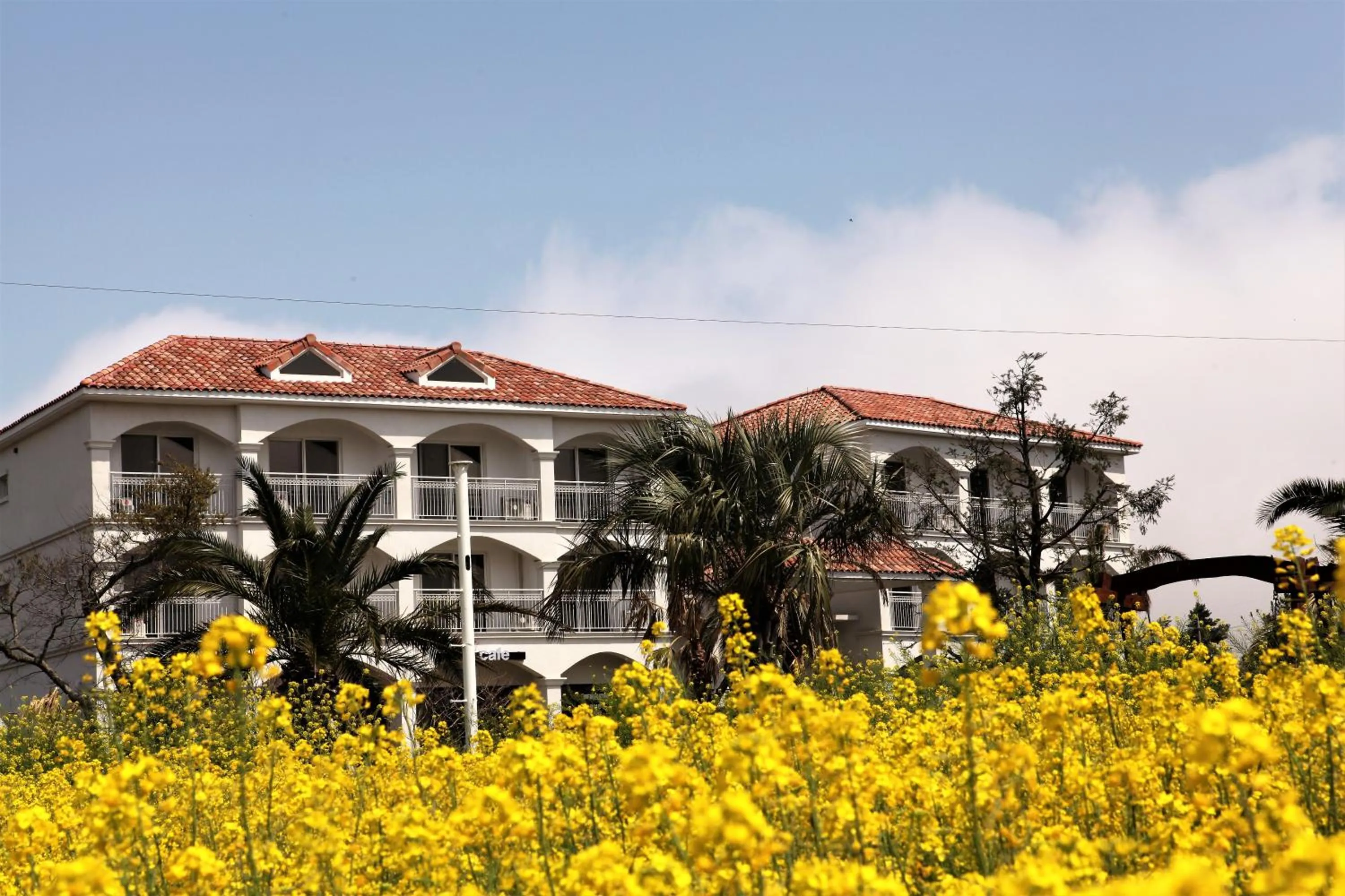 Facade/entrance in MJ Pension & Resort