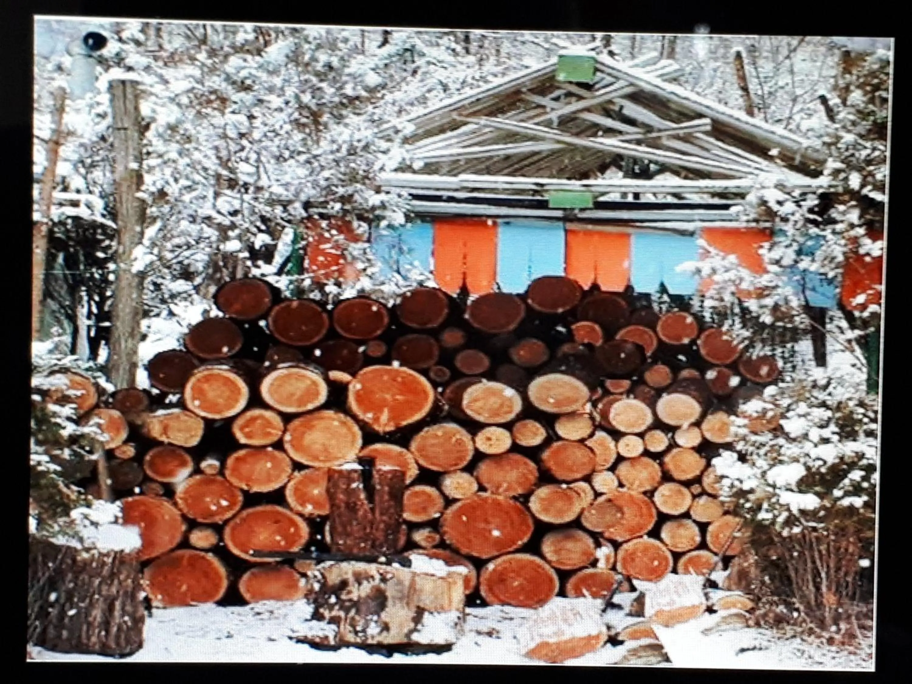 Lounge or bar in Heidi Korea