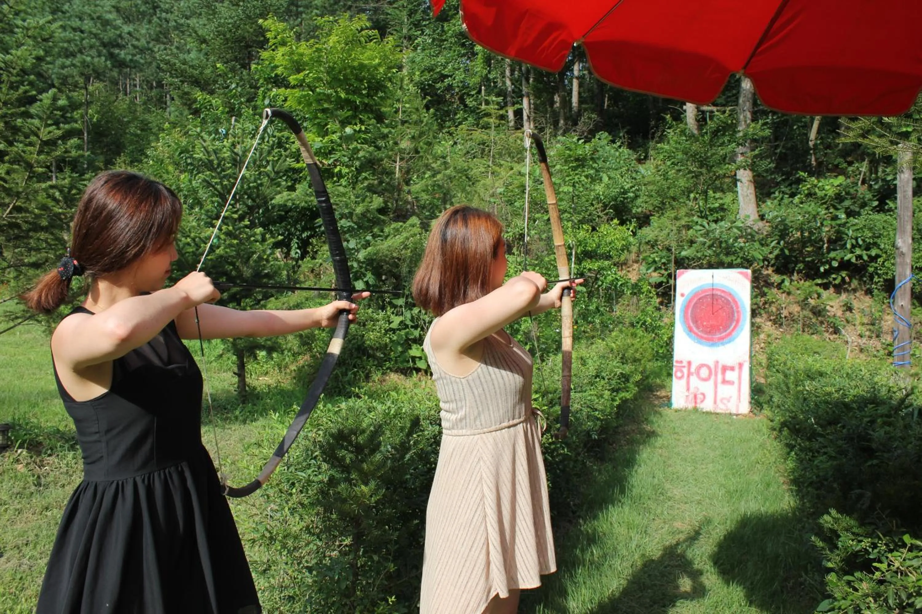 Spring in Heidi Korea