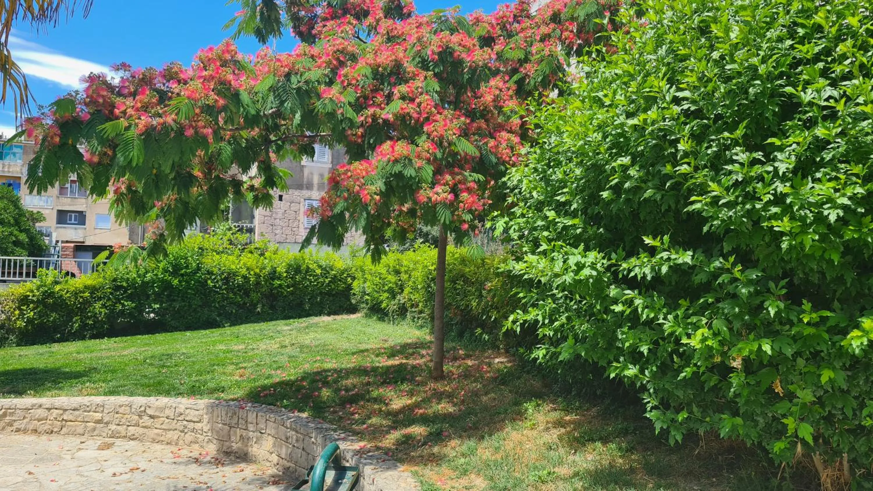 Garden in Nirvana Rooms & Apartments