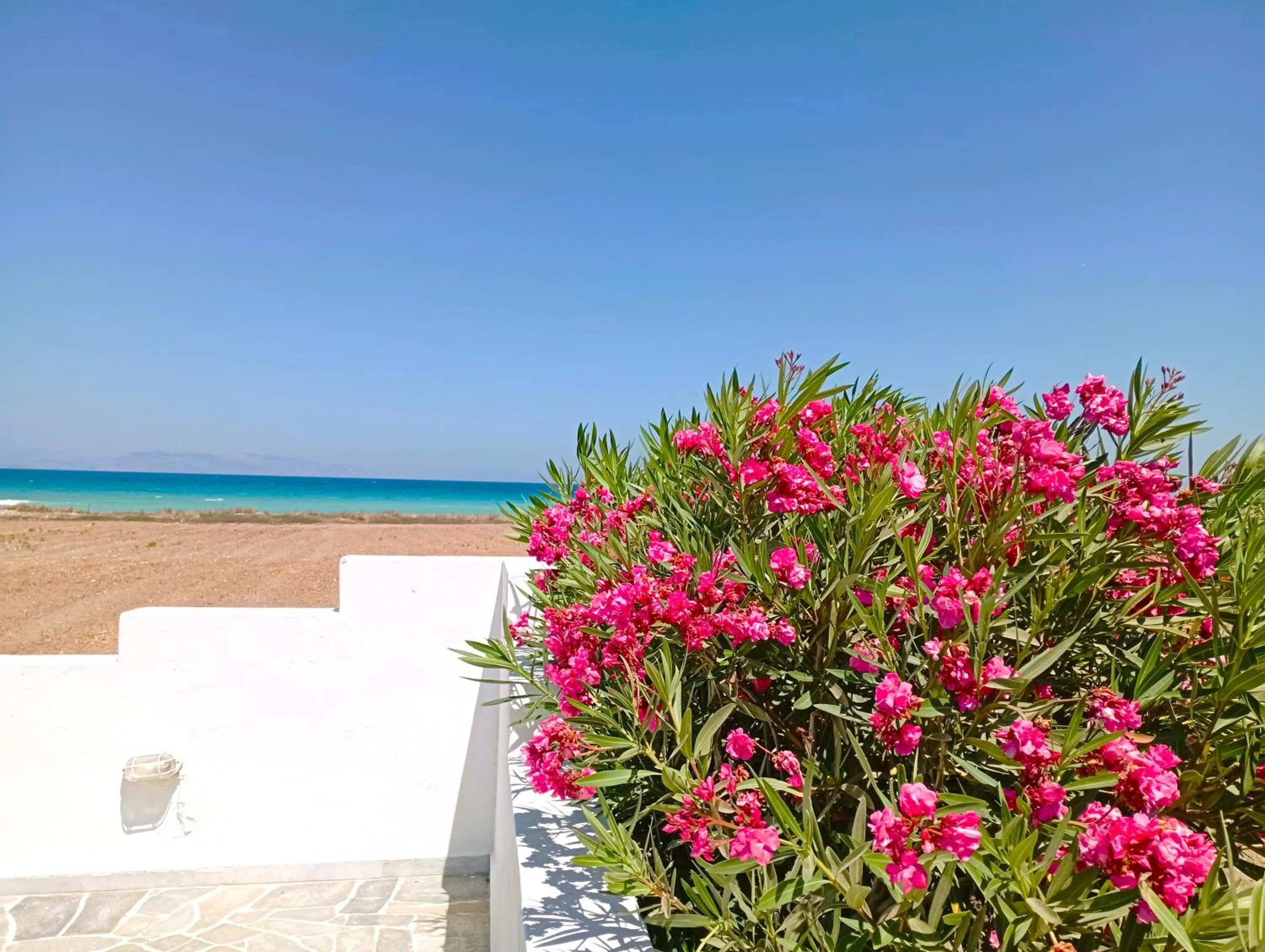 Spring in Nautilus Beach House