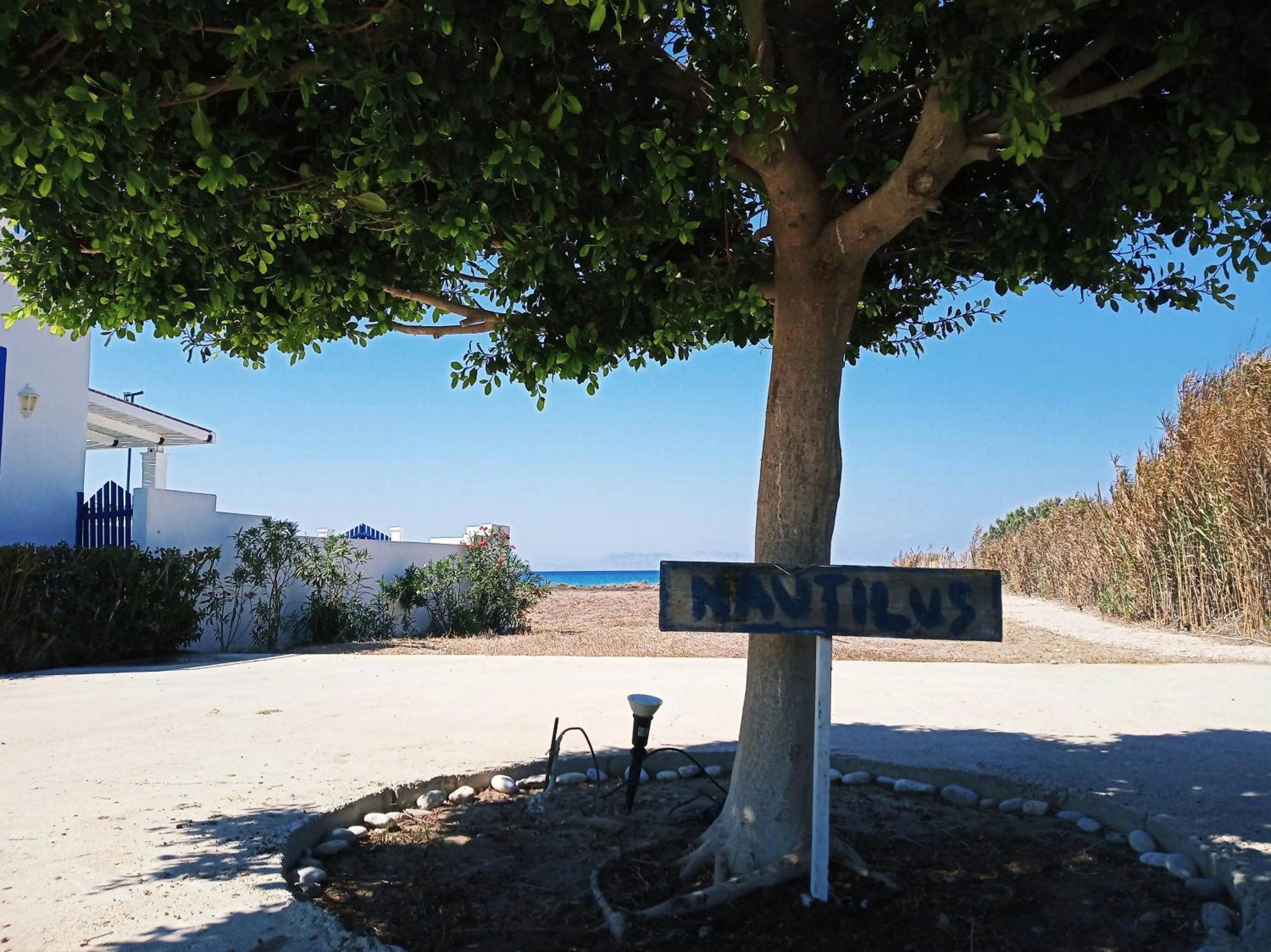 Garden in Nautilus Beach House