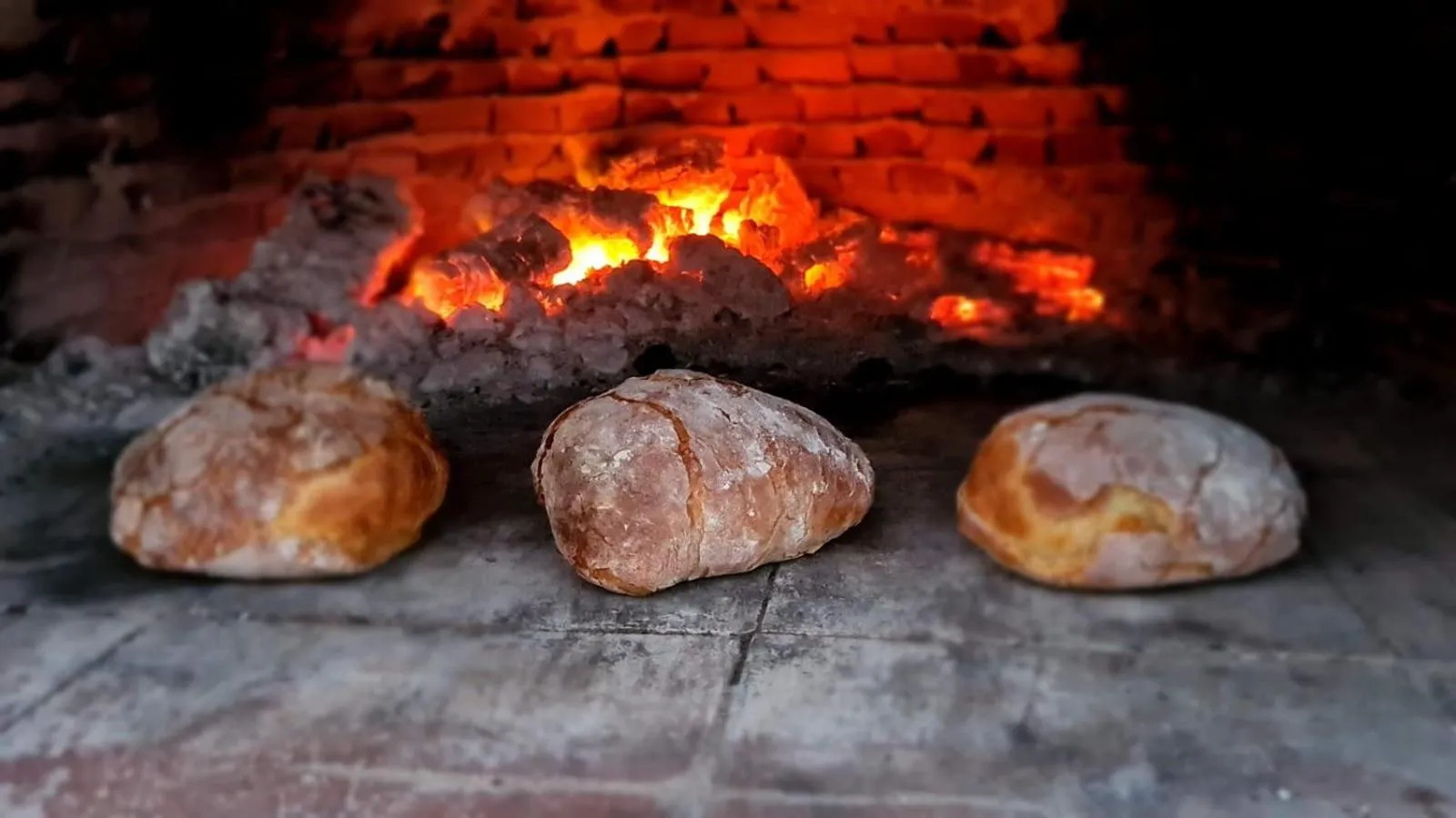 BBQ facilities in Nautilus Beach House