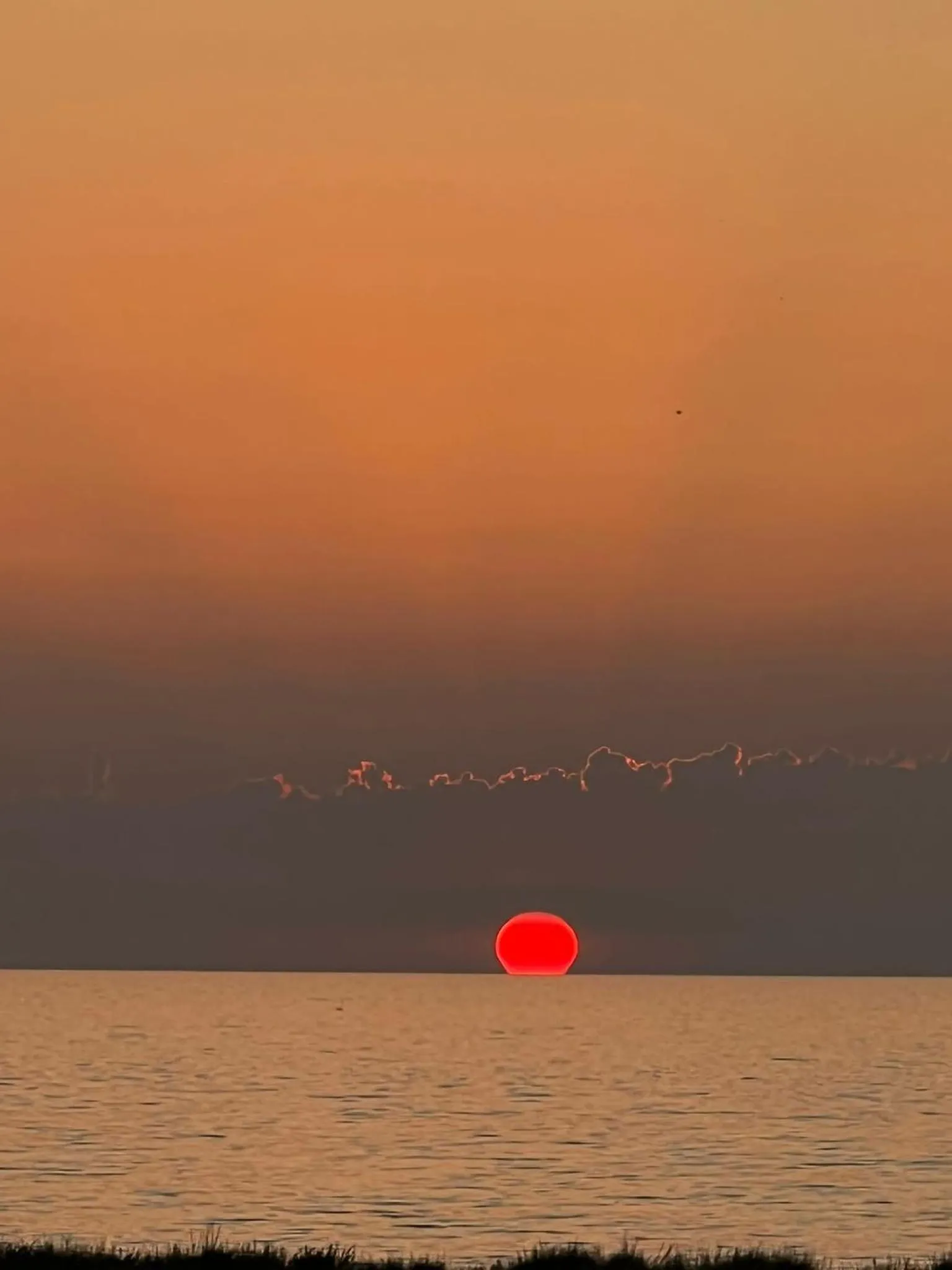 Natural landscape in Nautilus Beach House