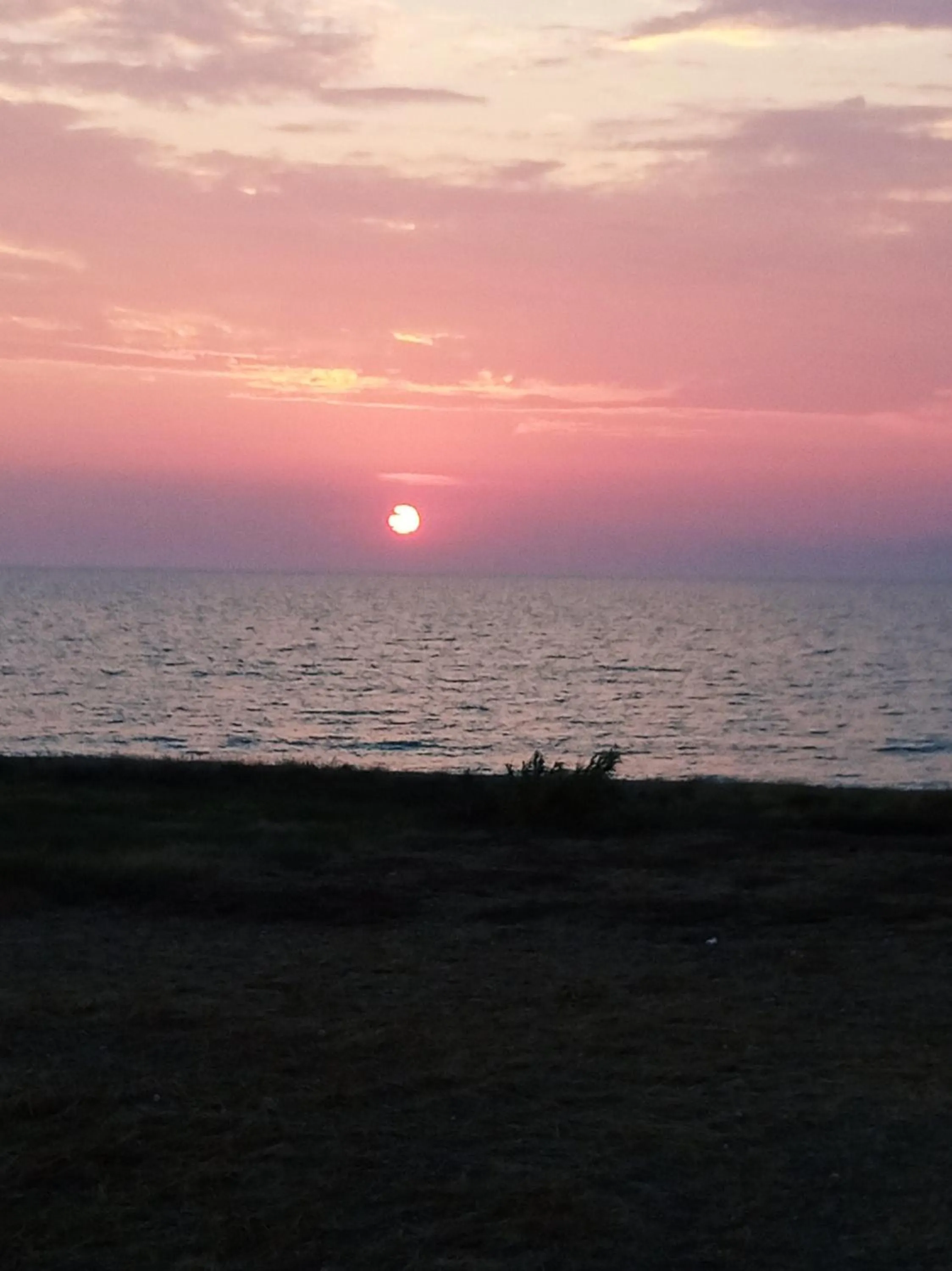 Natural landscape in Nautilus Beach House