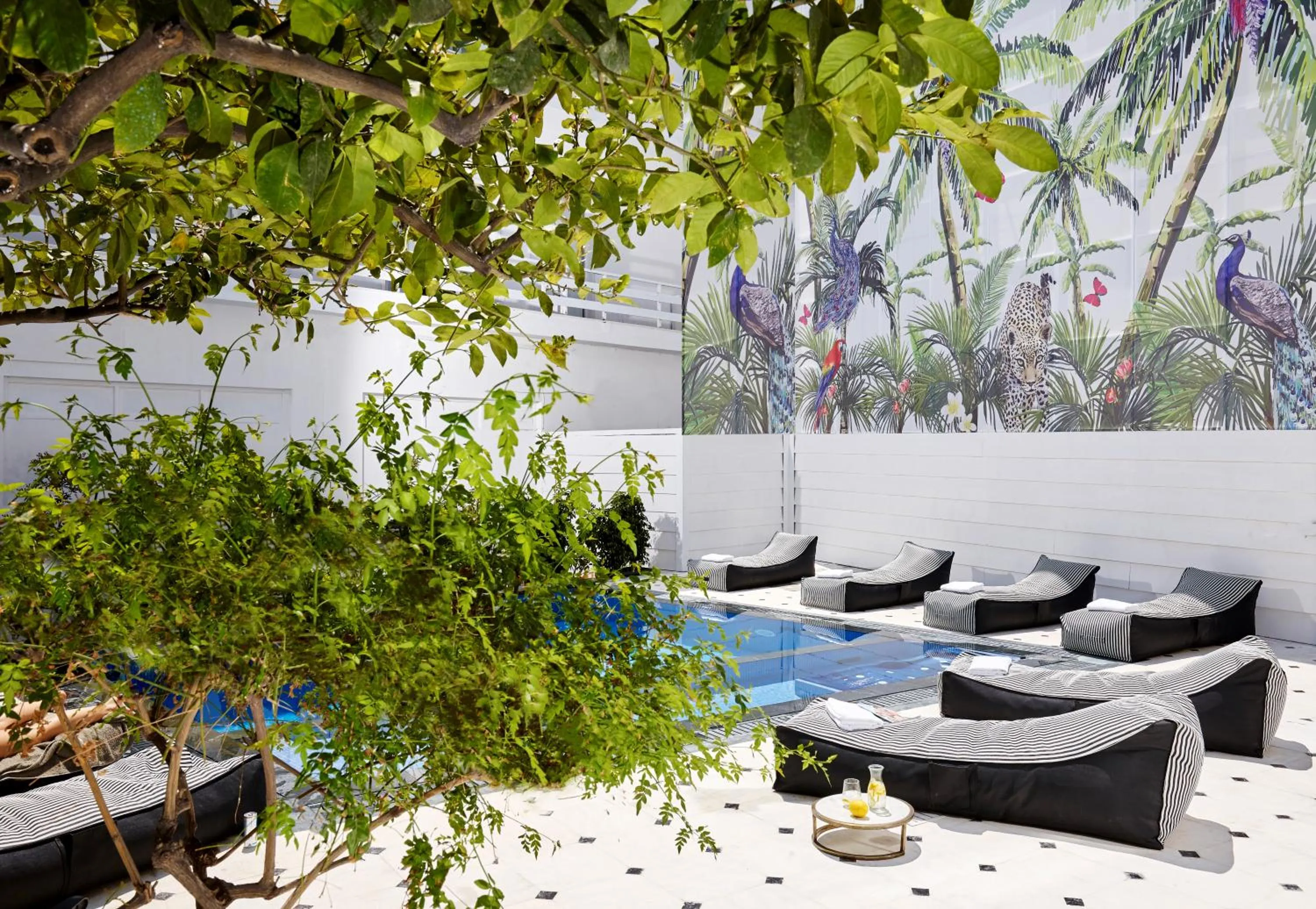 Patio in Vasia Boulevard Hotel (Adults Only)