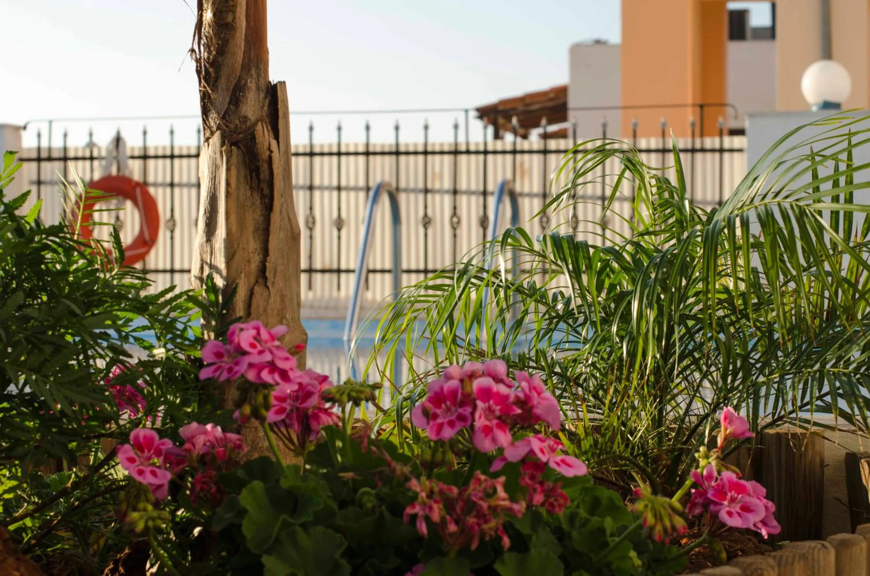 Swimming pool in Esplanade Apartments - Heated Pool