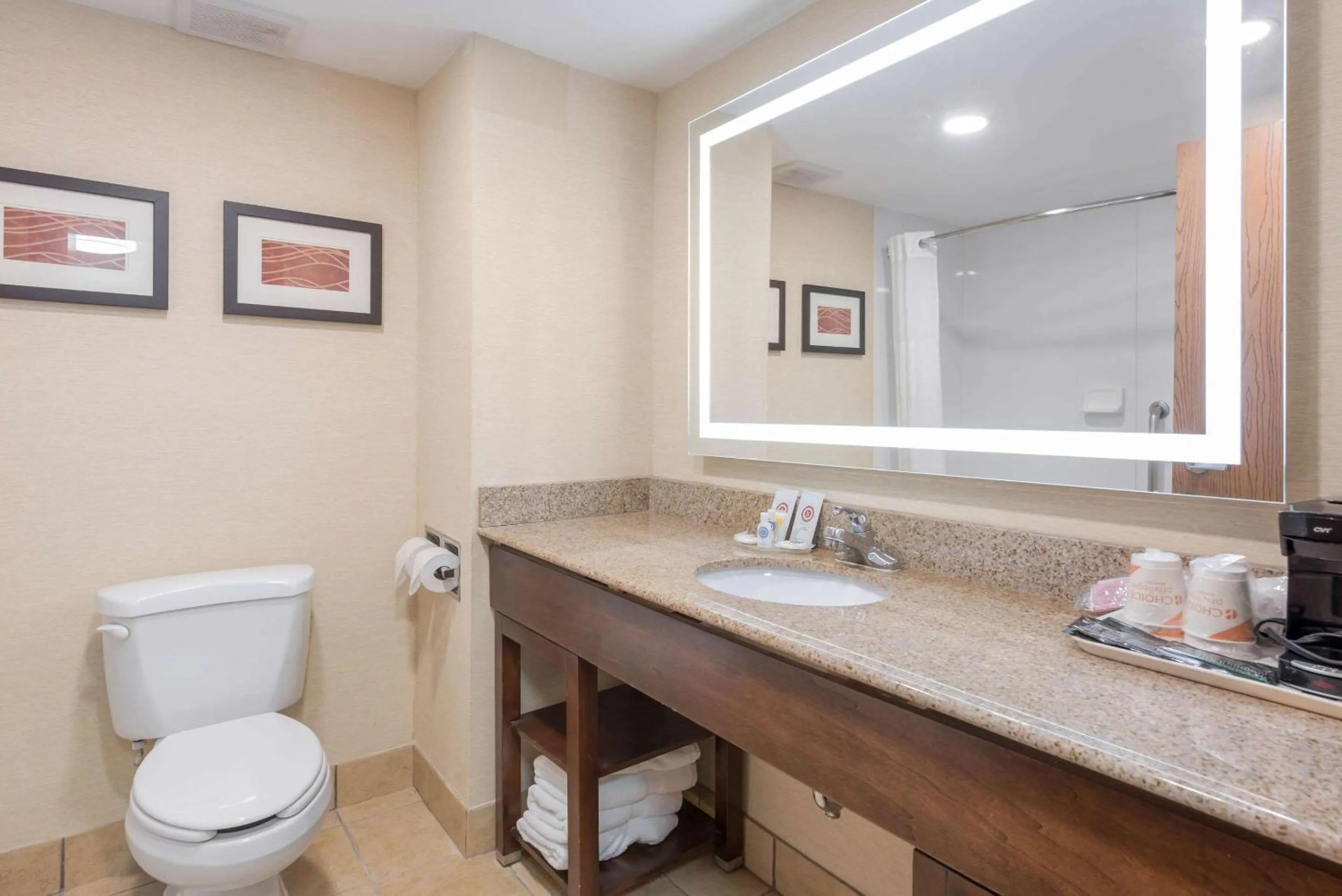 Bathroom in Comfort Inn Grove City - Columbus South