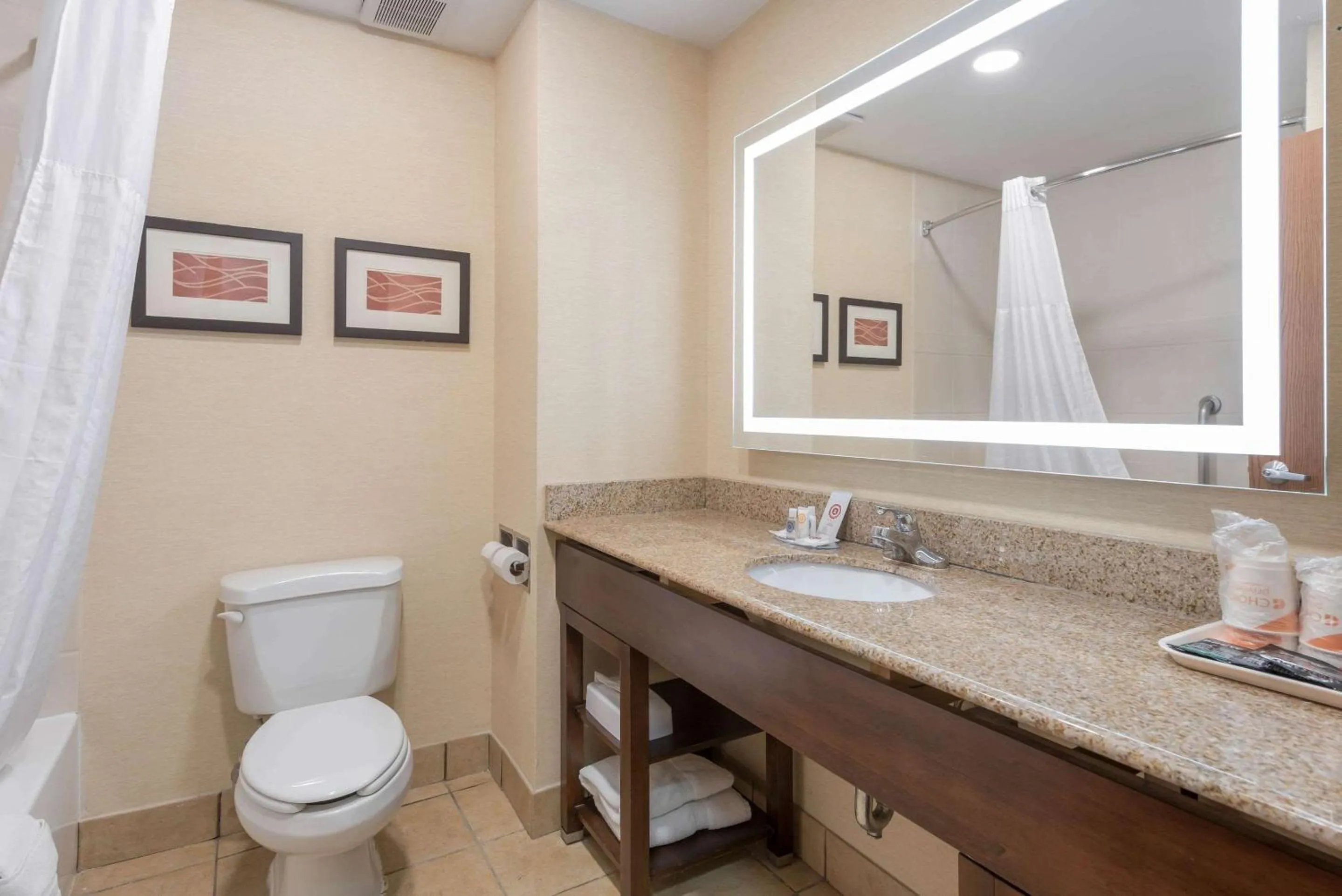 Bathroom in Comfort Inn Grove City - Columbus South