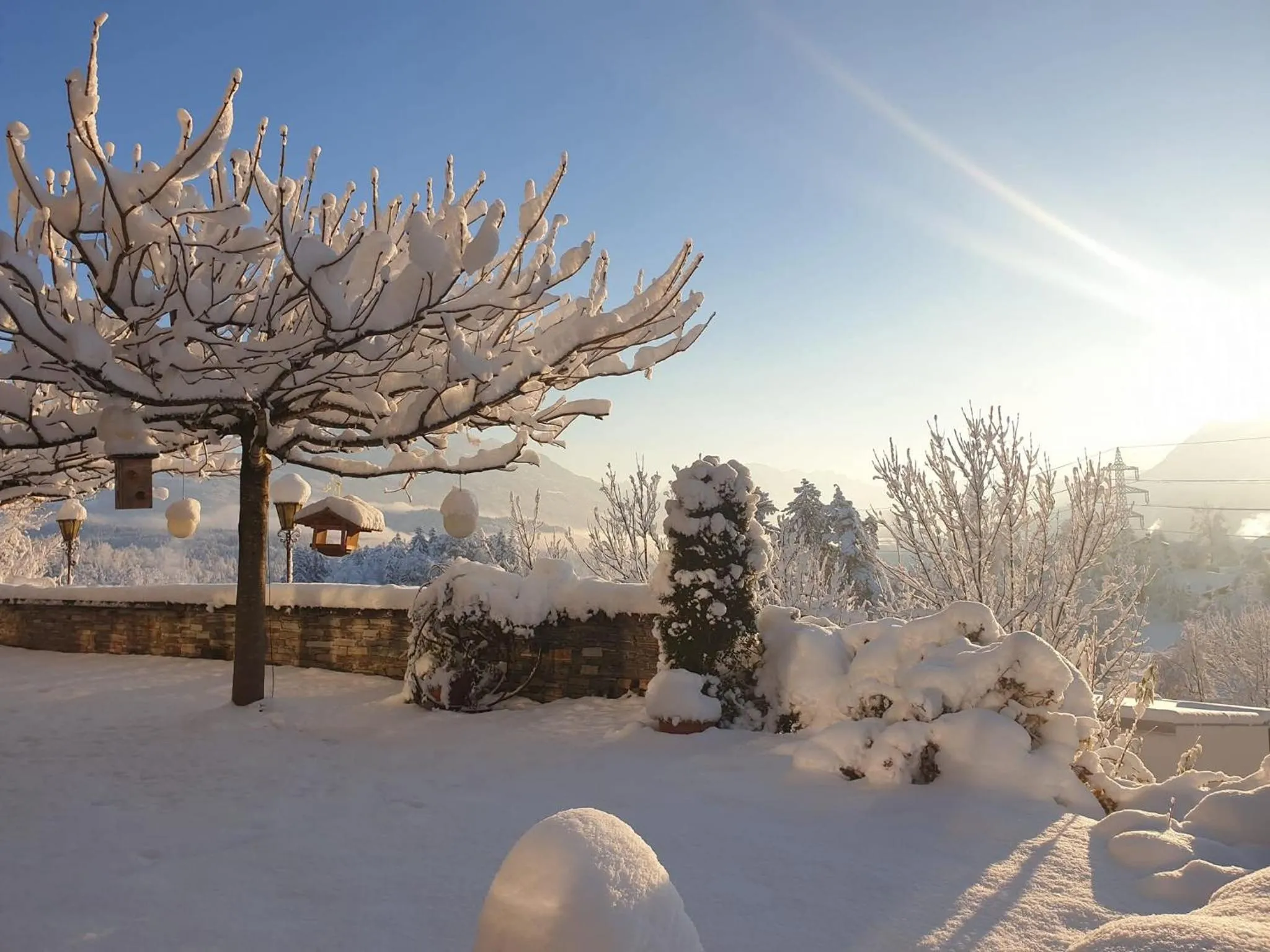 Day in Landhaus Maria Grün B&B