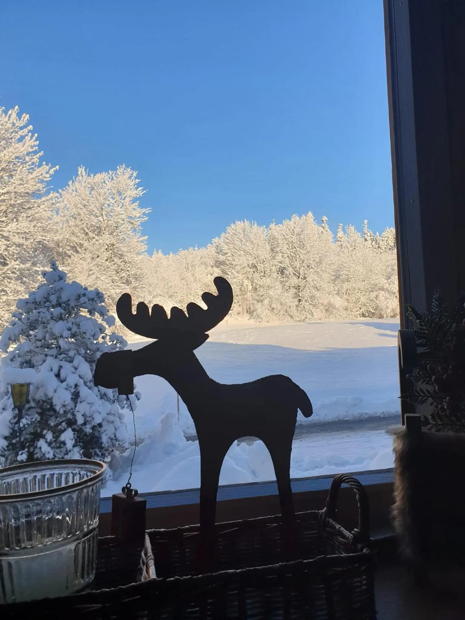 Day in Landhaus Maria Grün B&B