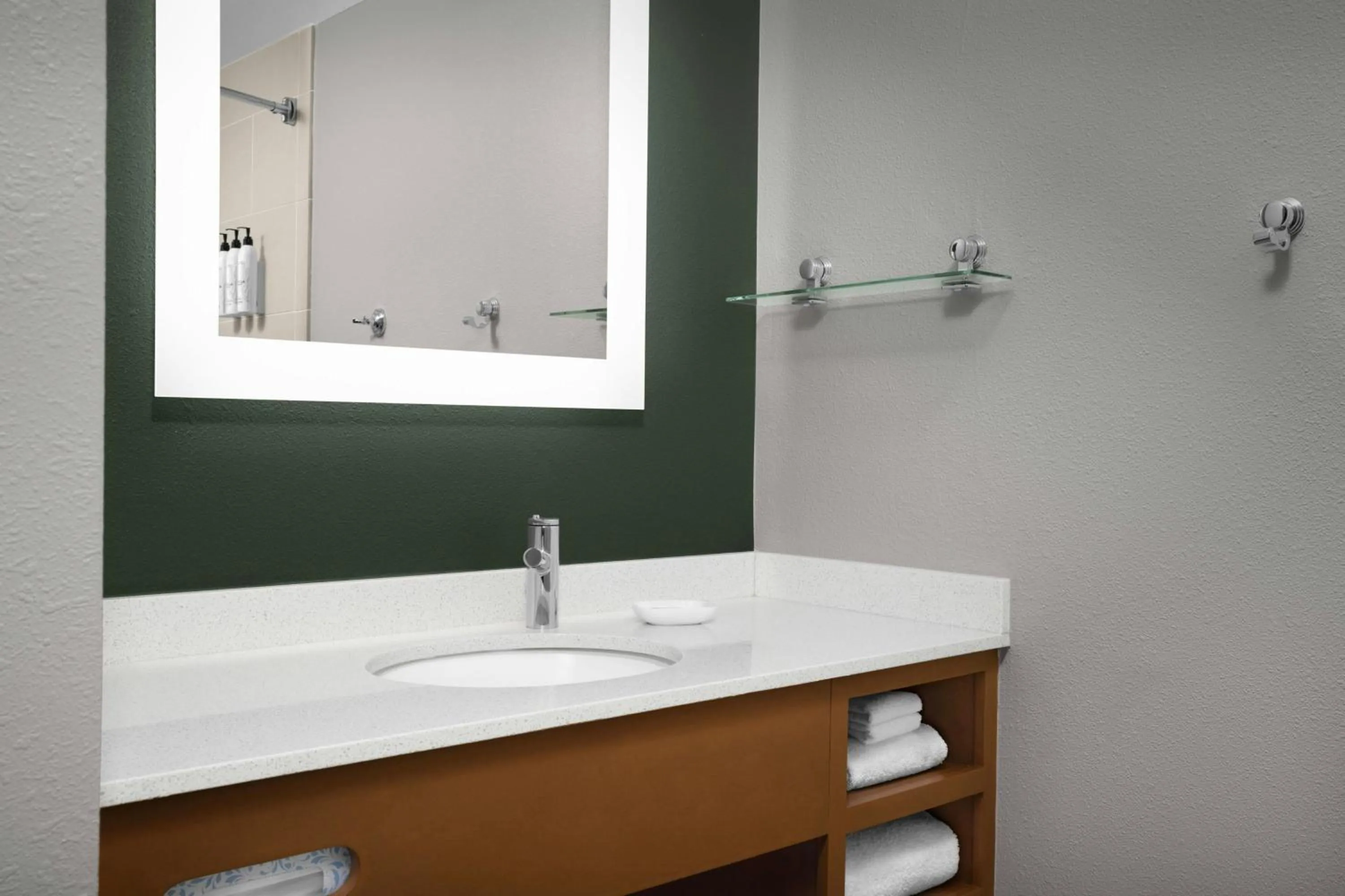 Bathroom in Springhill Suites by Marriott Savannah Downtown Historic District