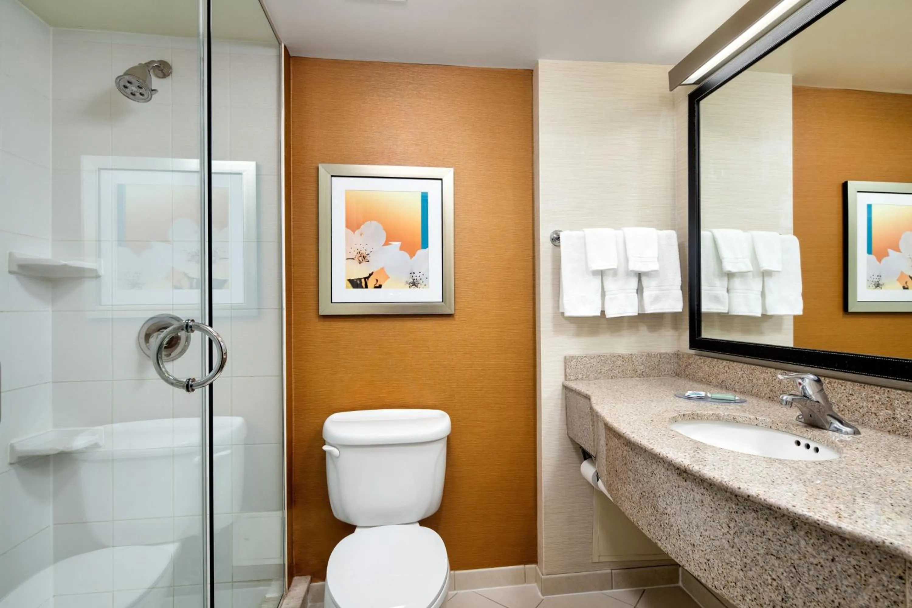Bathroom in Fairfield Inn & Suites by Marriott Toronto Airport
